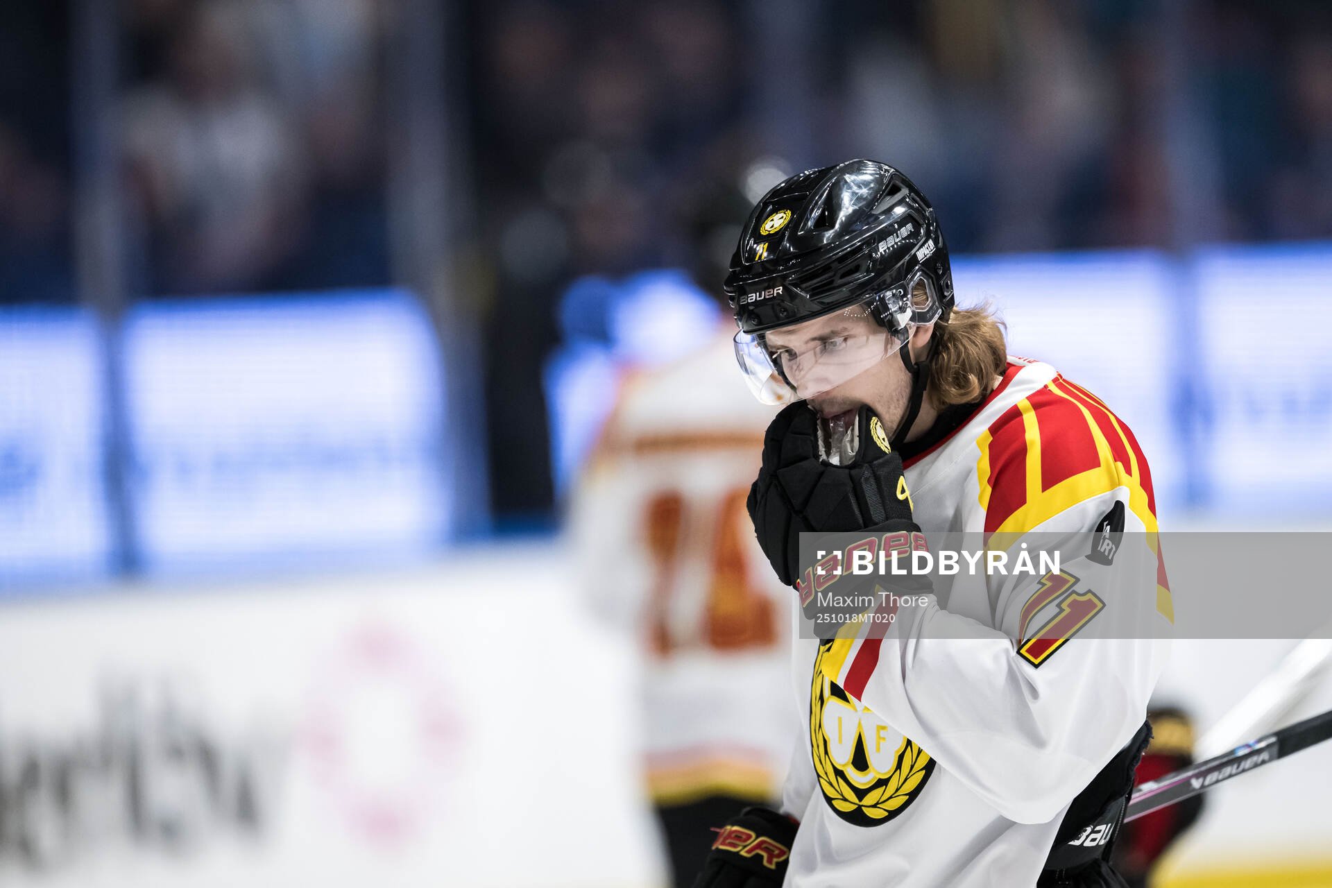 Brynäs Axel Jonsson-Fjällby