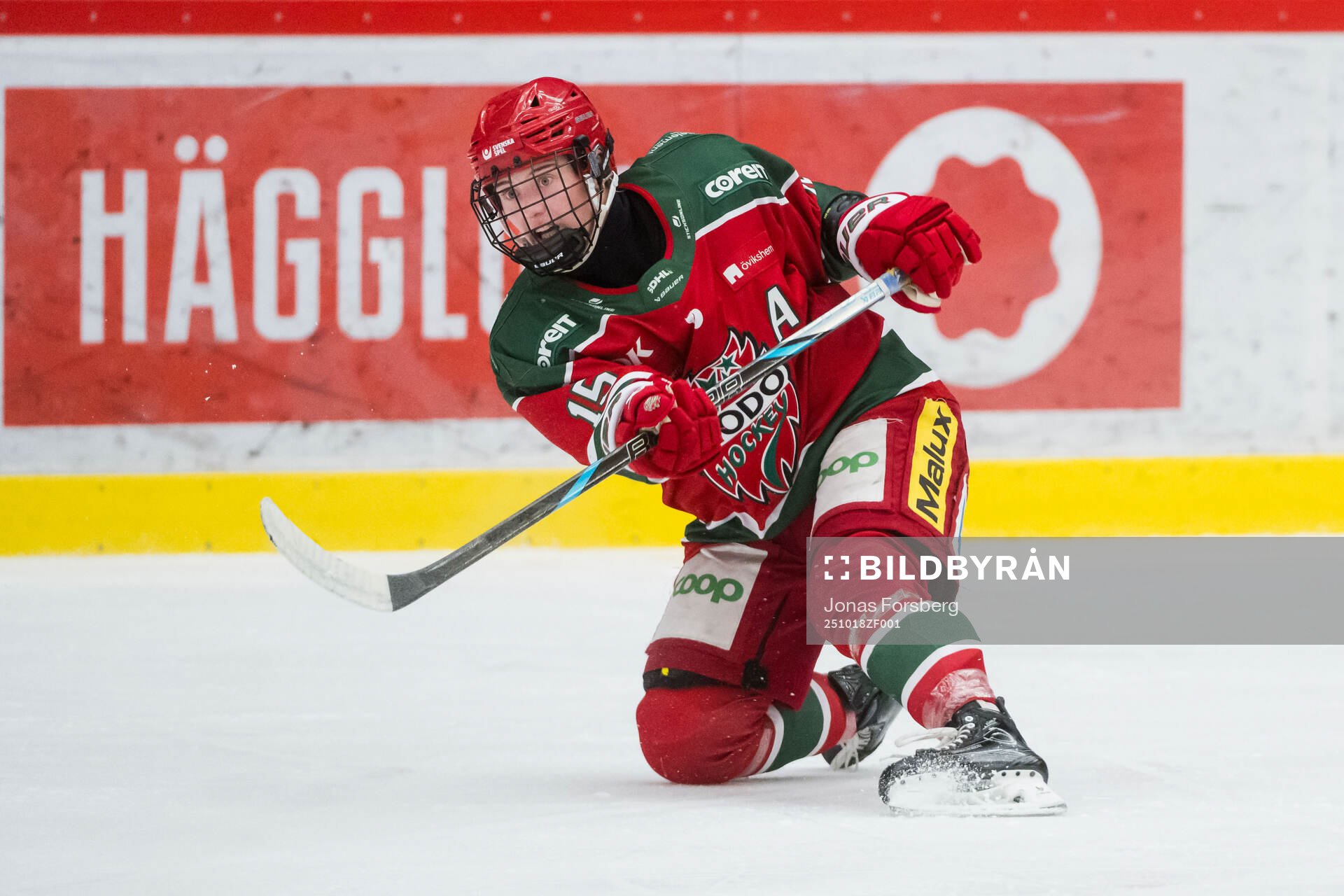 Modos Linnéa Andersson
