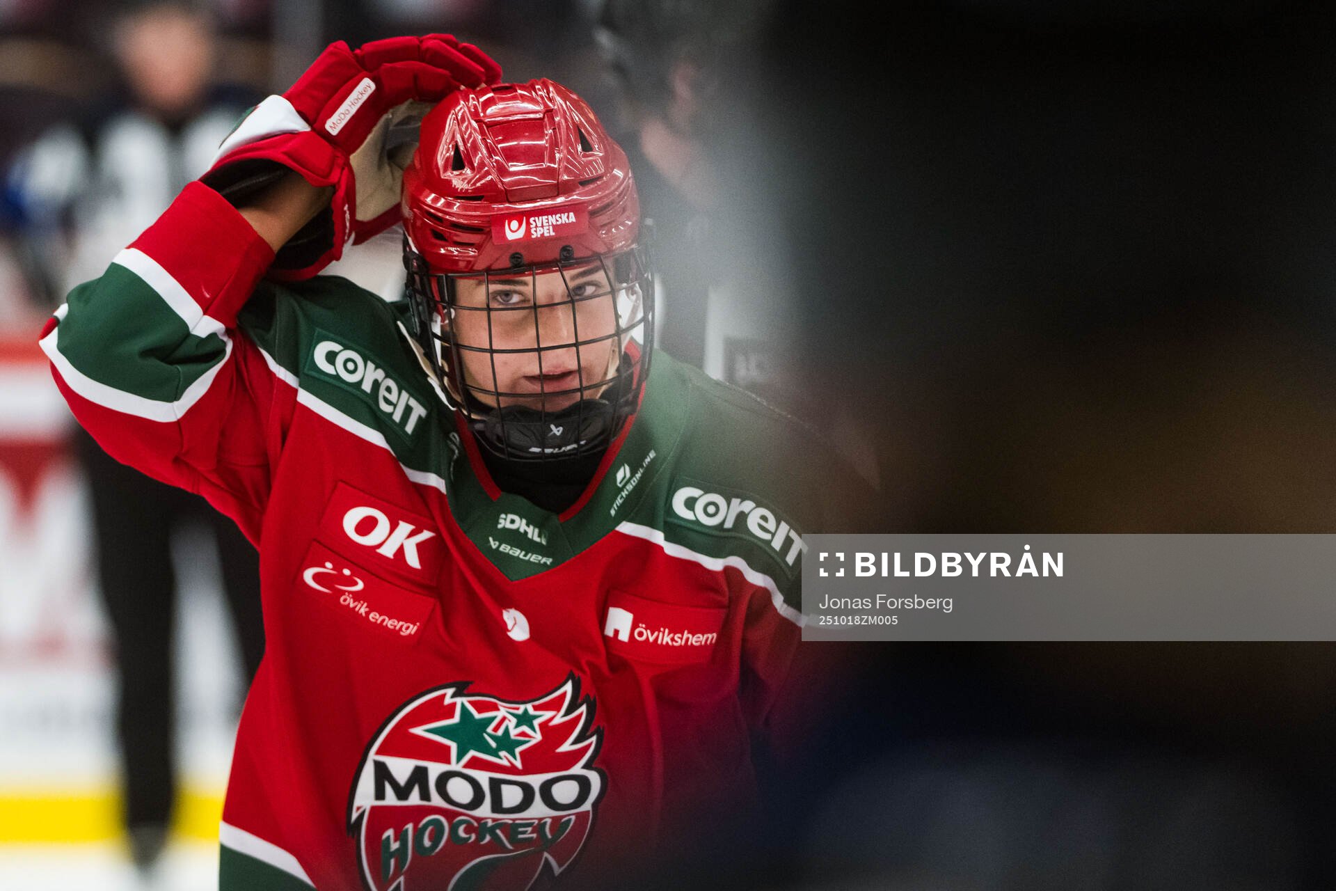 Modos Alyssa Mcleod jublar
