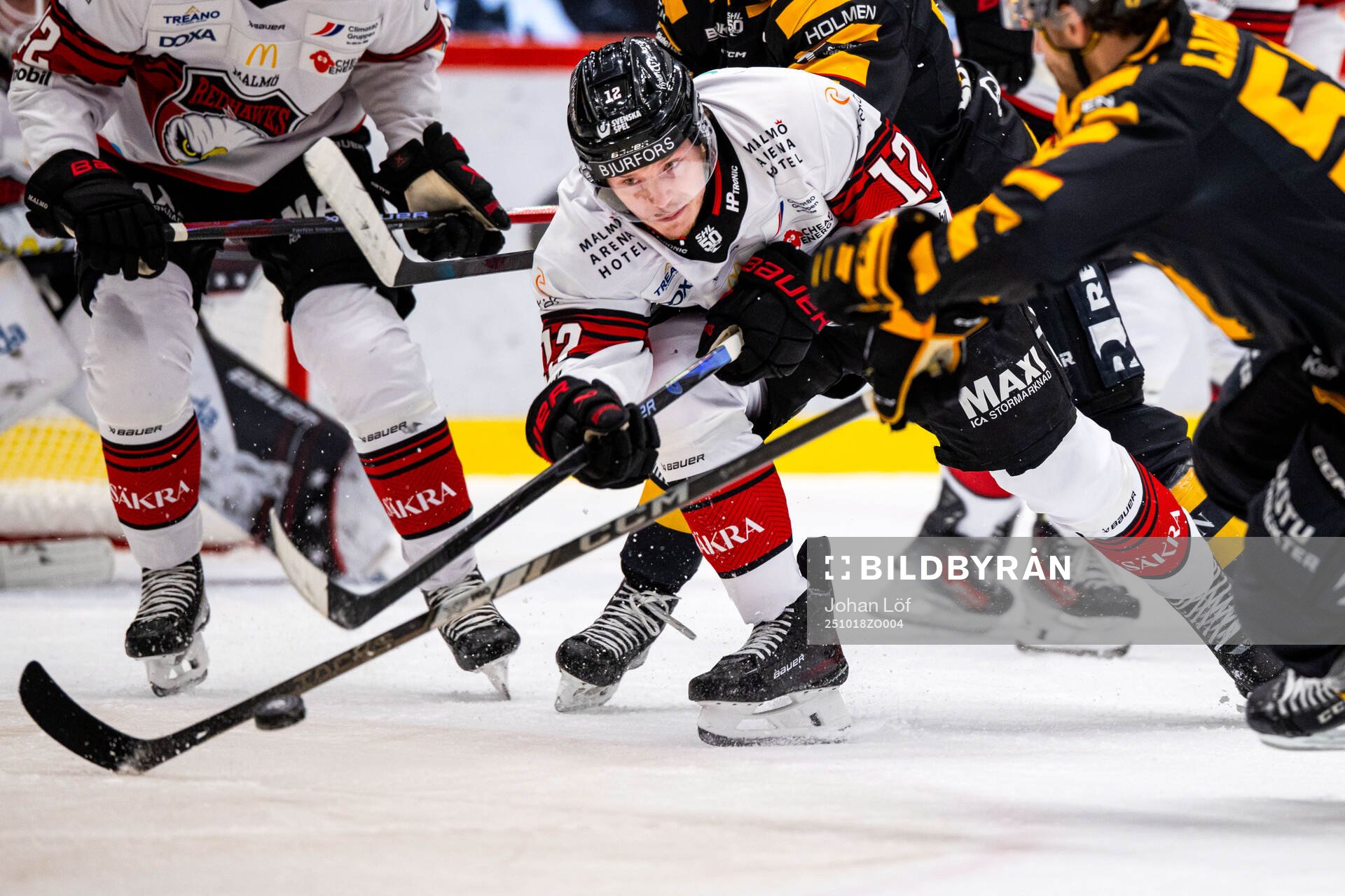 Malmö Redhawks Linus Öberg