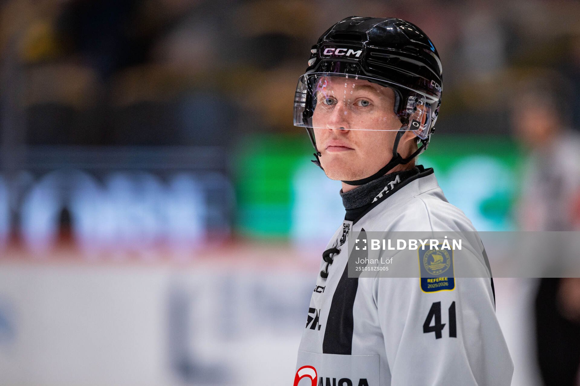 Linjedomare Teodor Sörholm