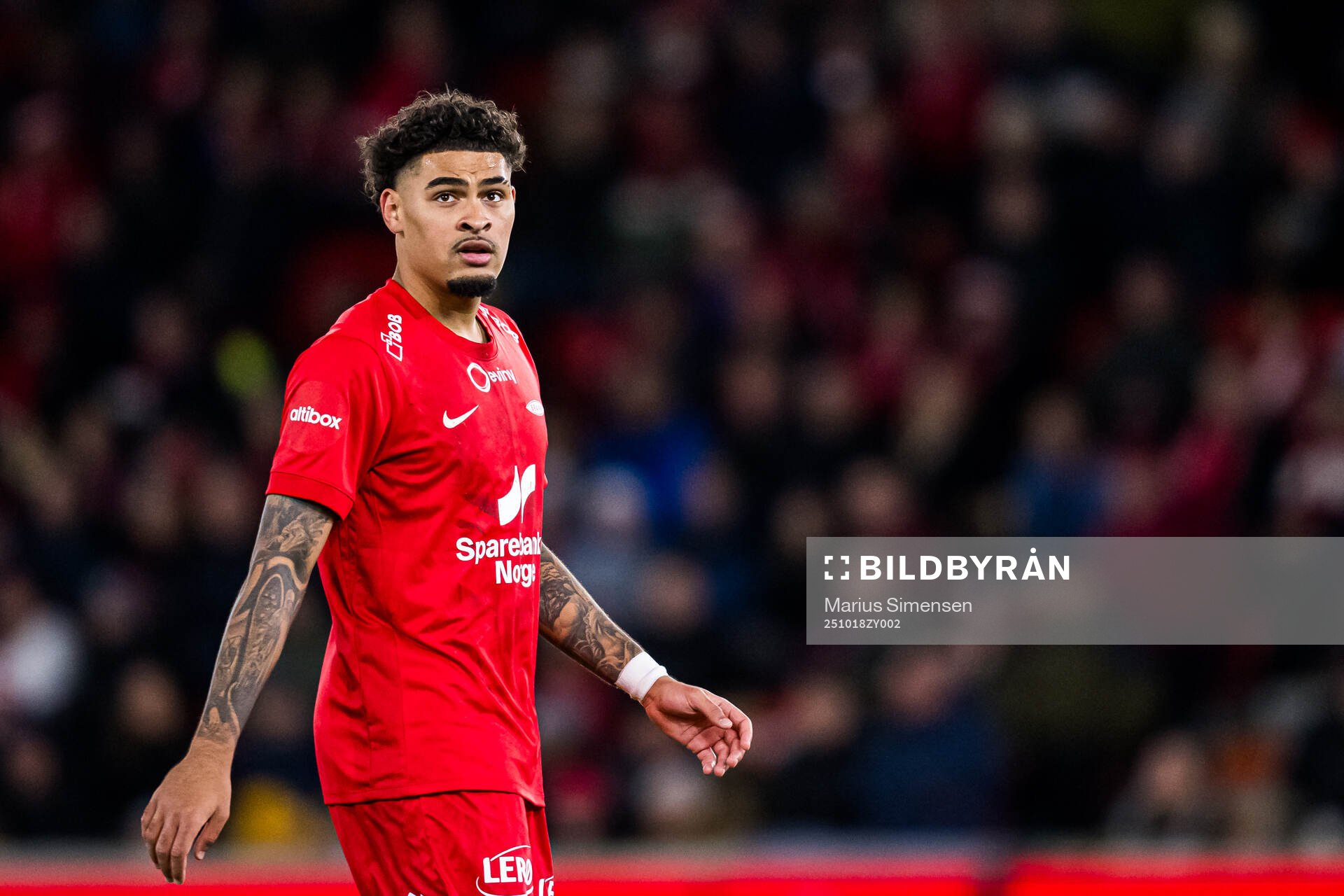 Noah Jean Holm of Brann