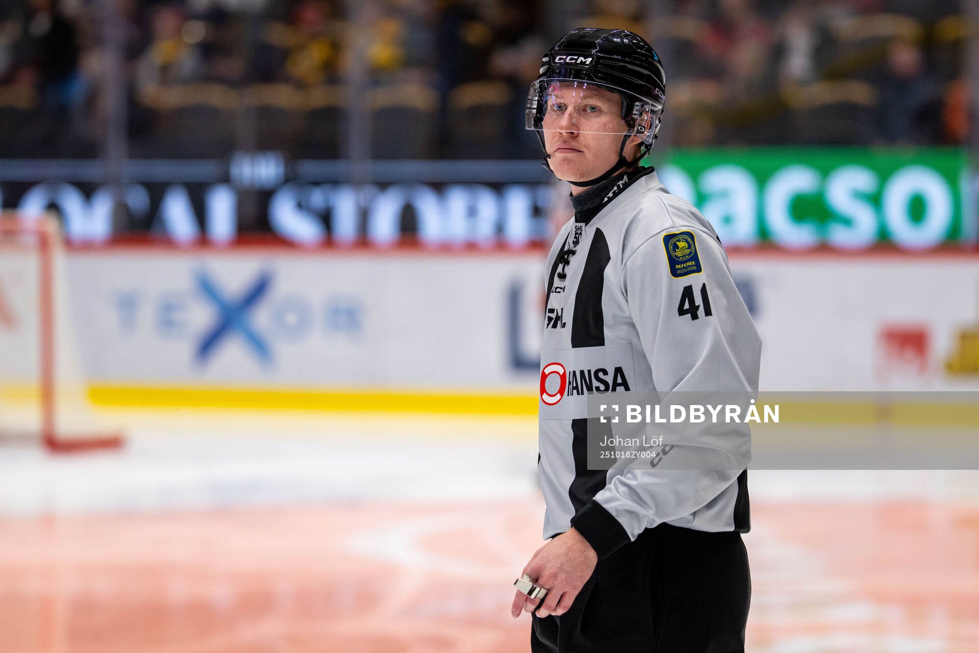 Linjedomare Teodor Sörholm