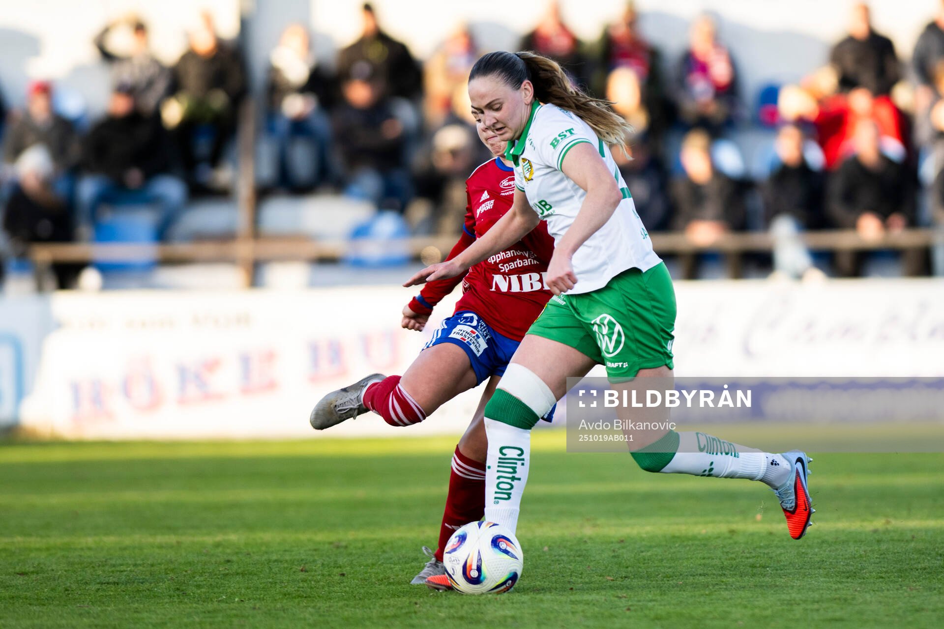 Hammarbys Vilde Hasund