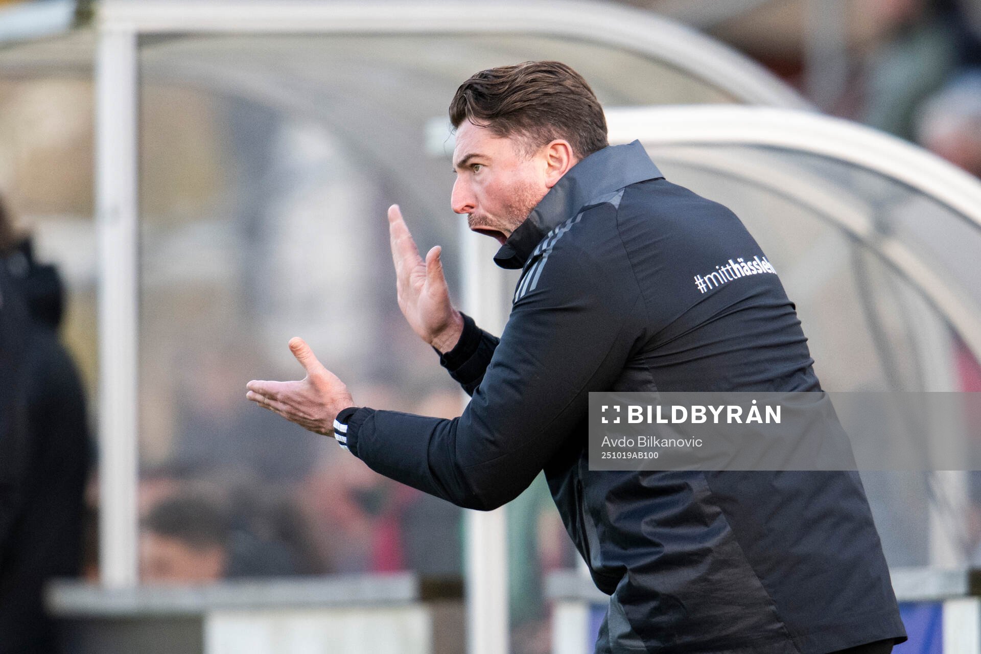 Vittsjös tränare Mladen Blagojevic