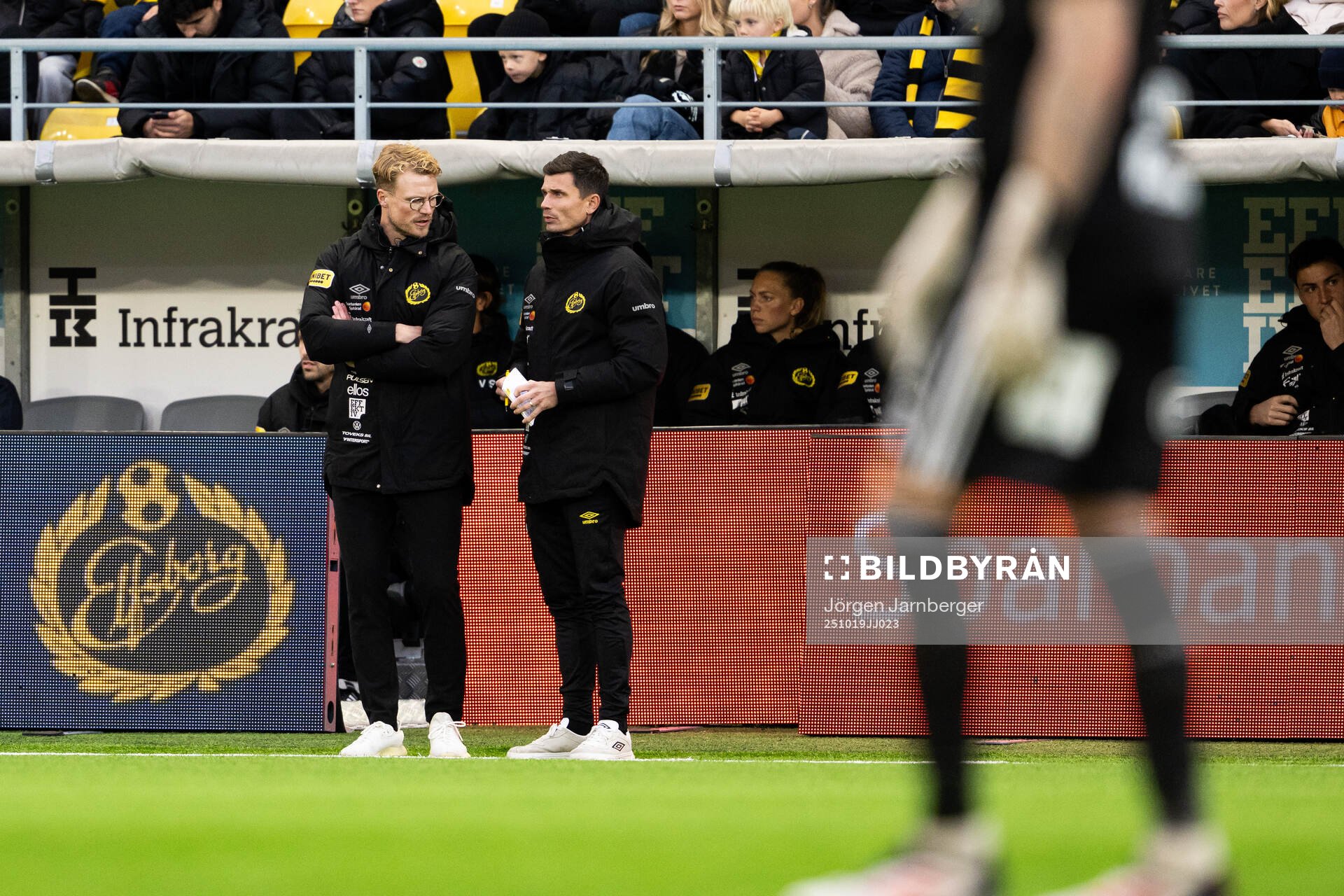 Elfsborgs tränare Oscar Hiljemark och assisterande