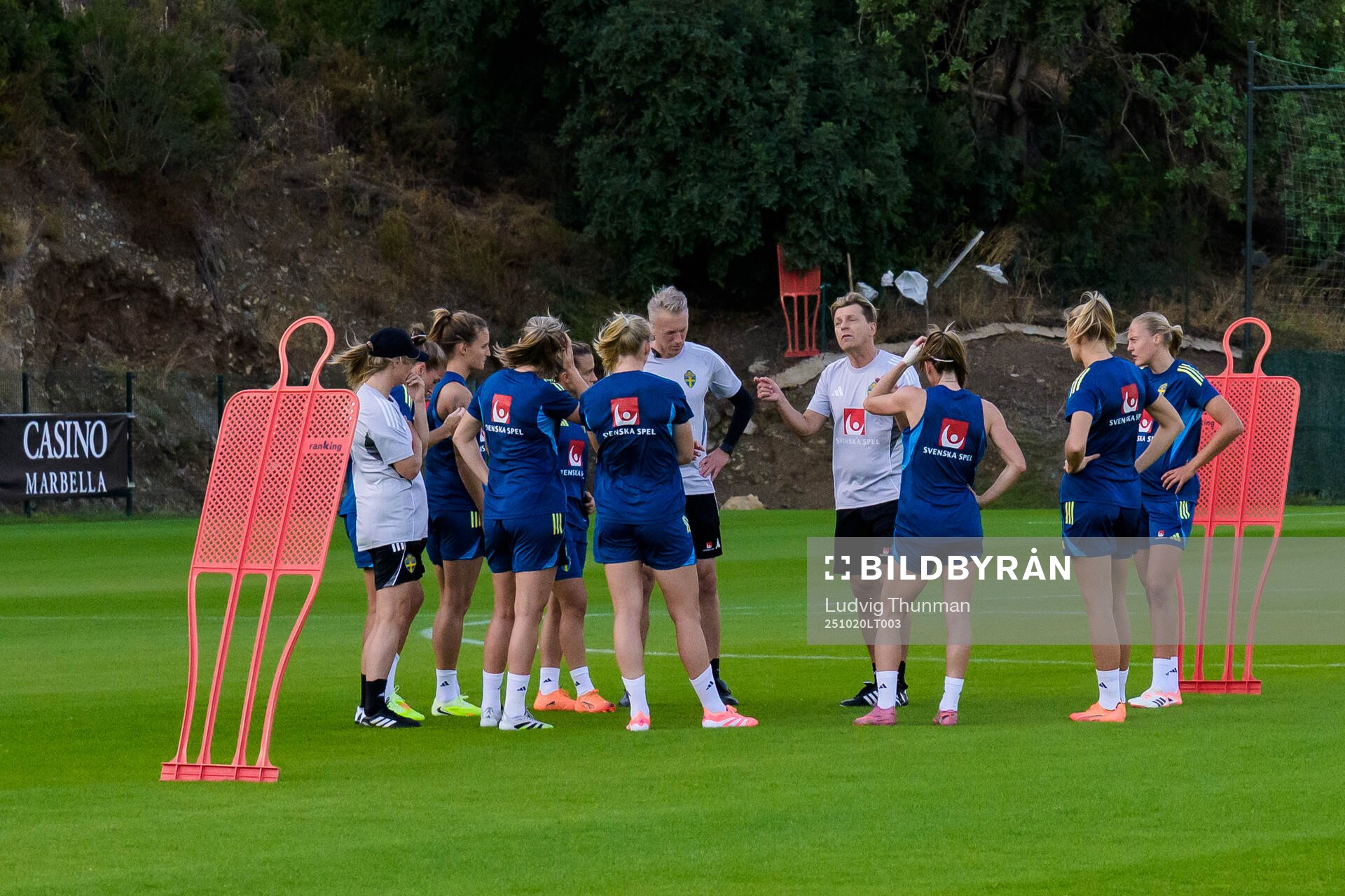Players of the Swedish women's national football team at a