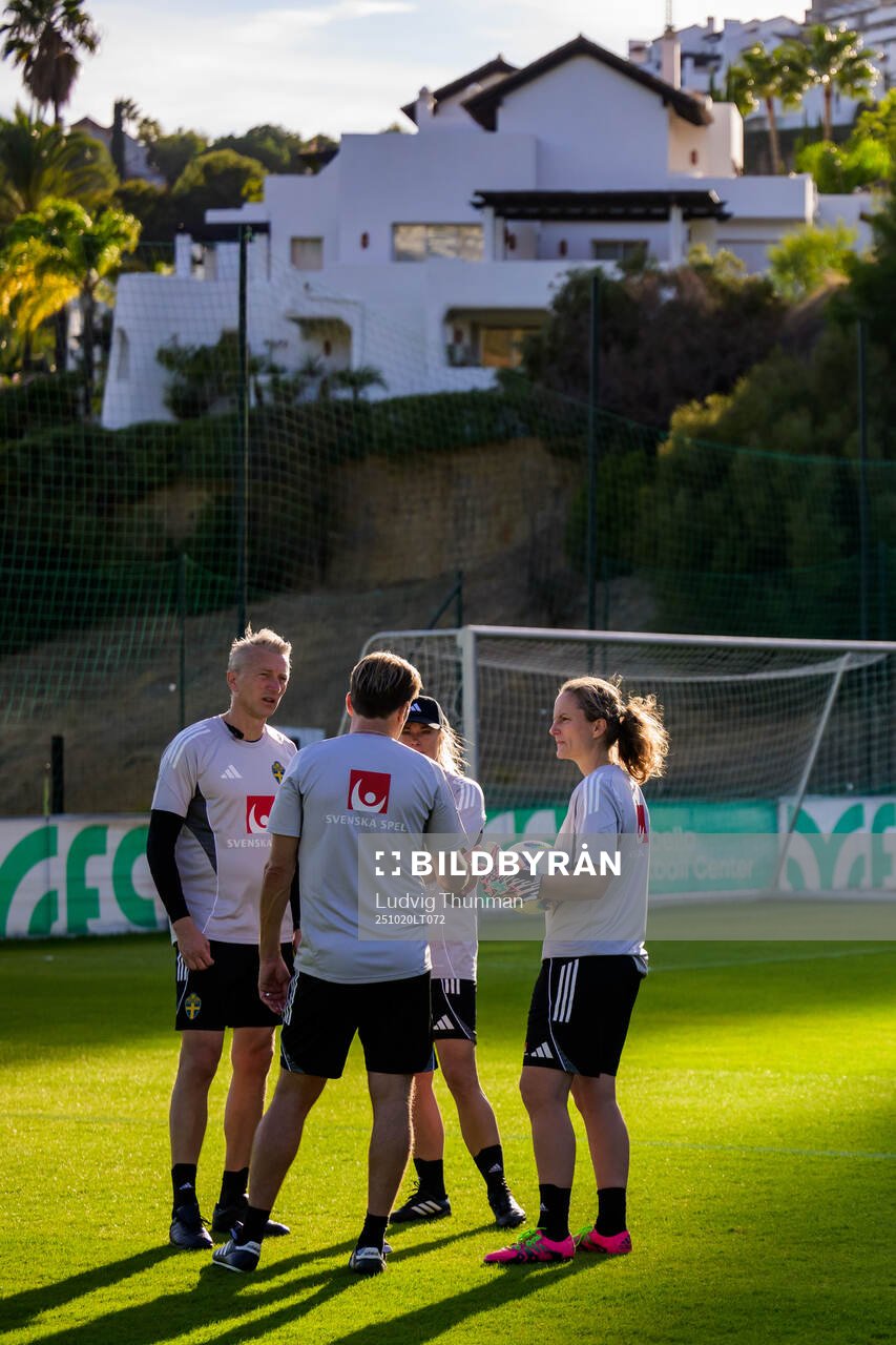 Assistant coach Niklas Egnell, Assistant coach Johanna