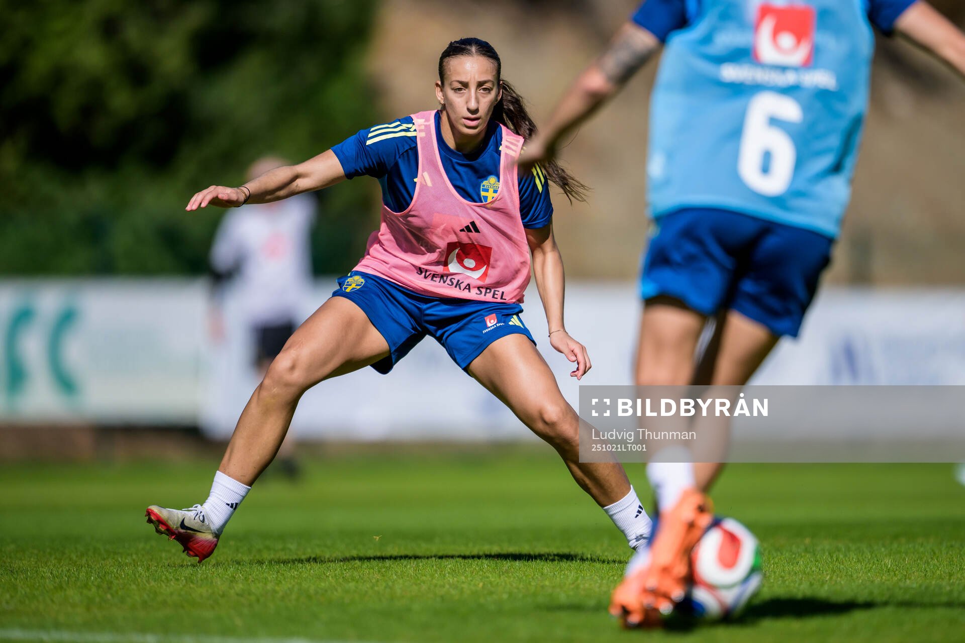 Rosa Kafaji