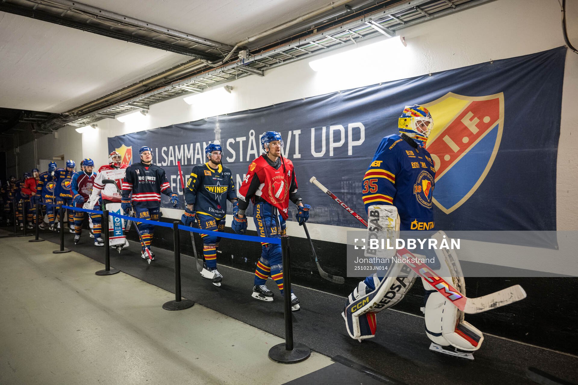 Djurgårdens spelare