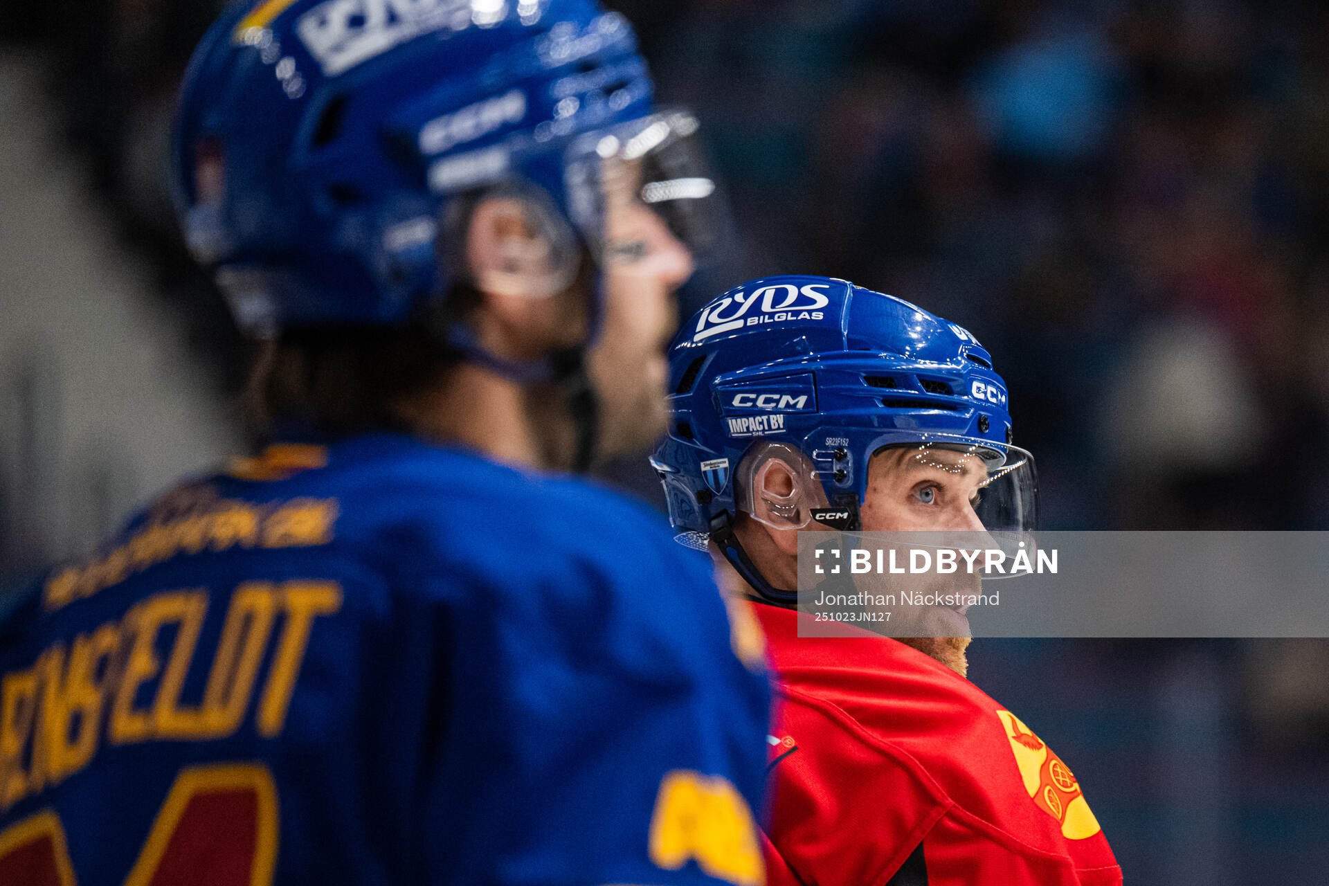 Djurgårdens Daniel Brodin