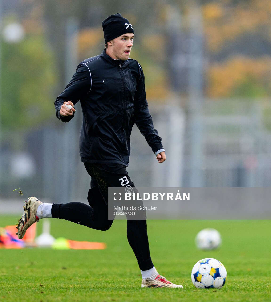 Max Nilsson