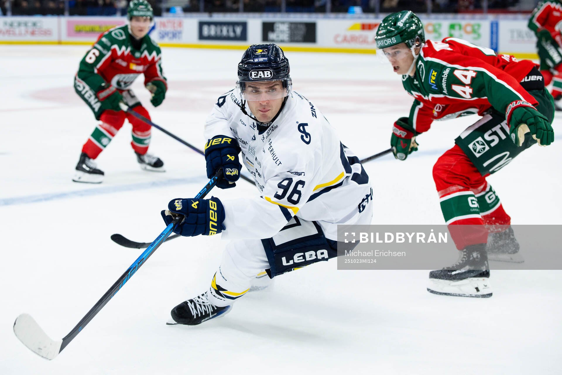 HV71s Nikola Pasic