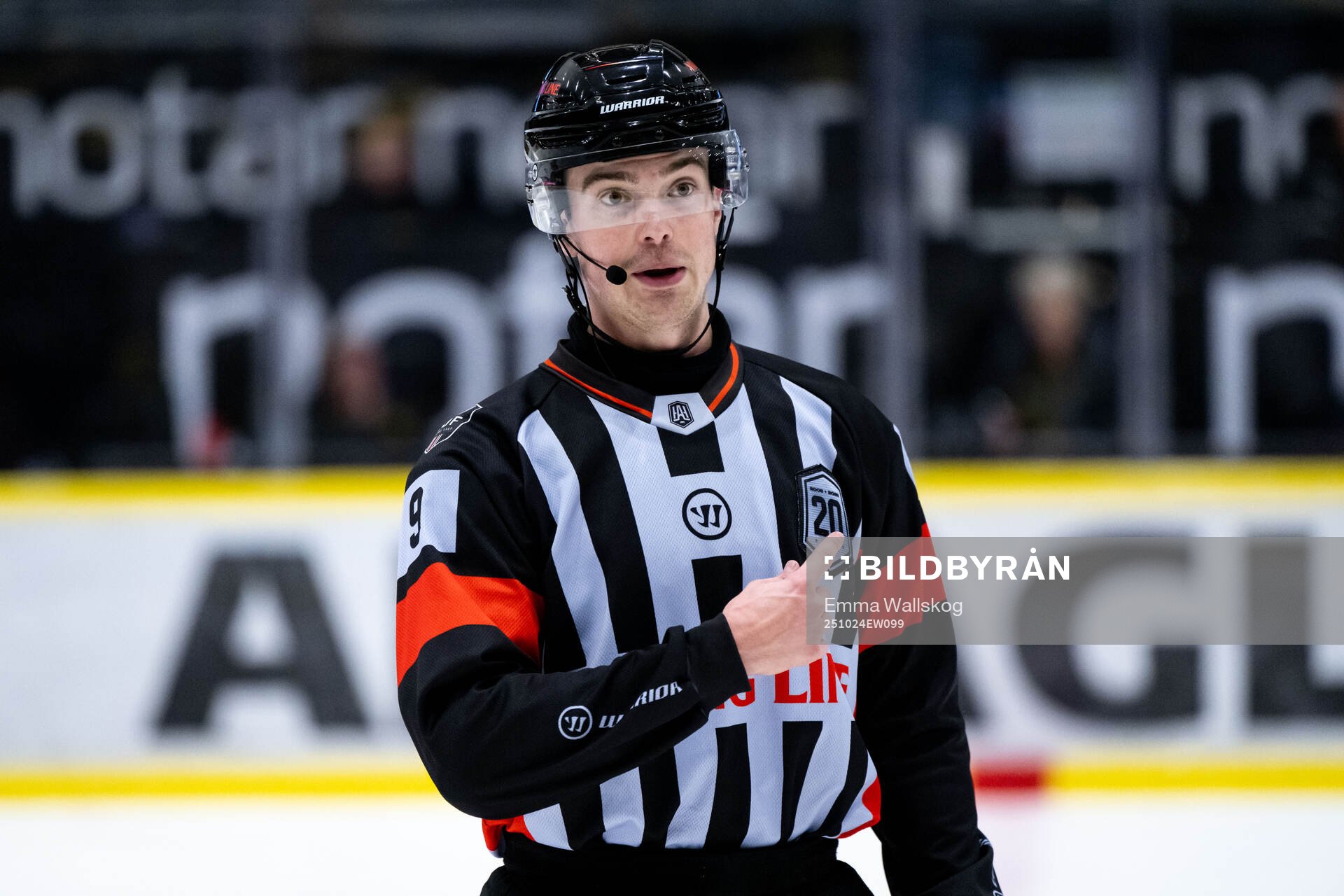 Domare Filip Eriksson