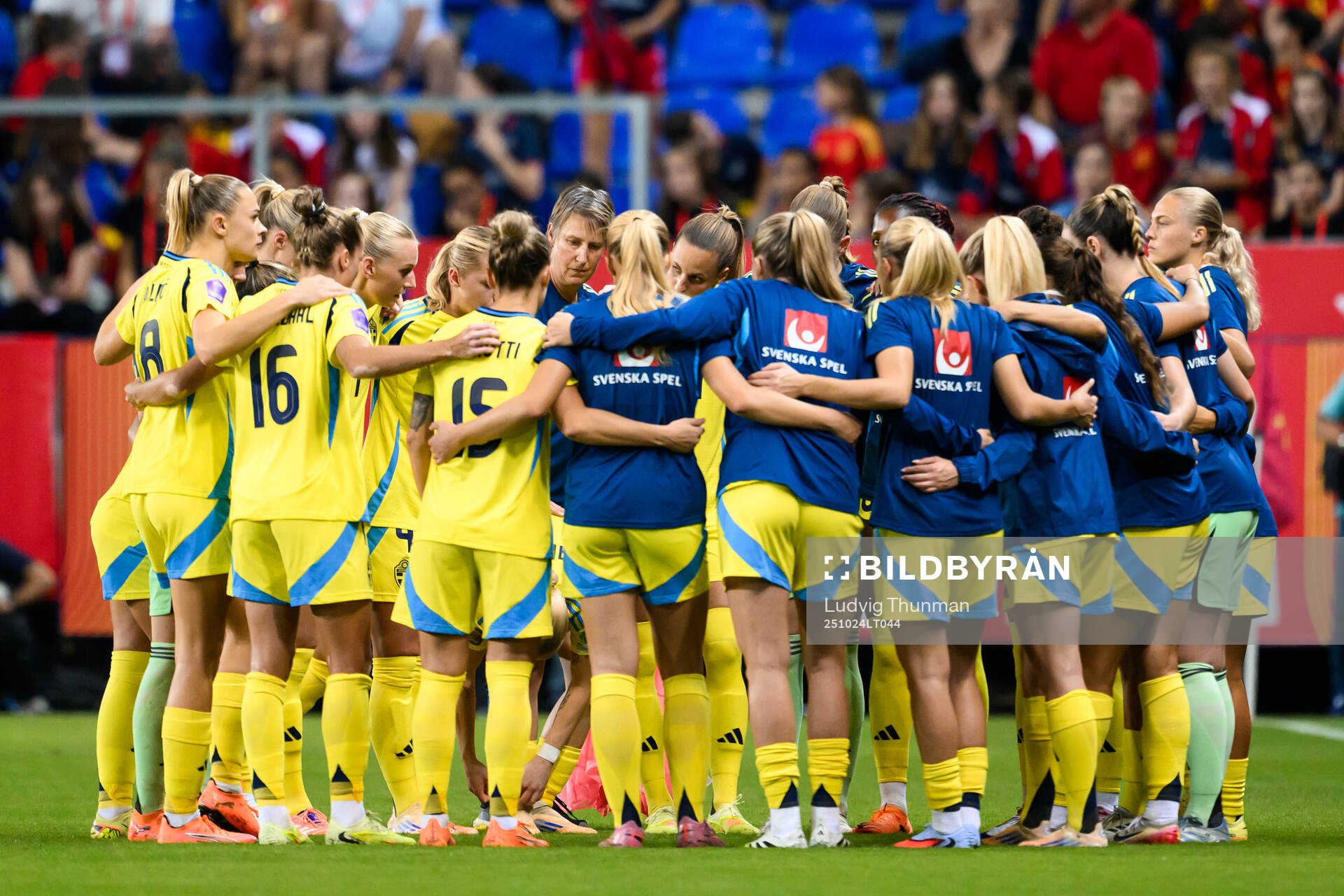 Players of Sweden