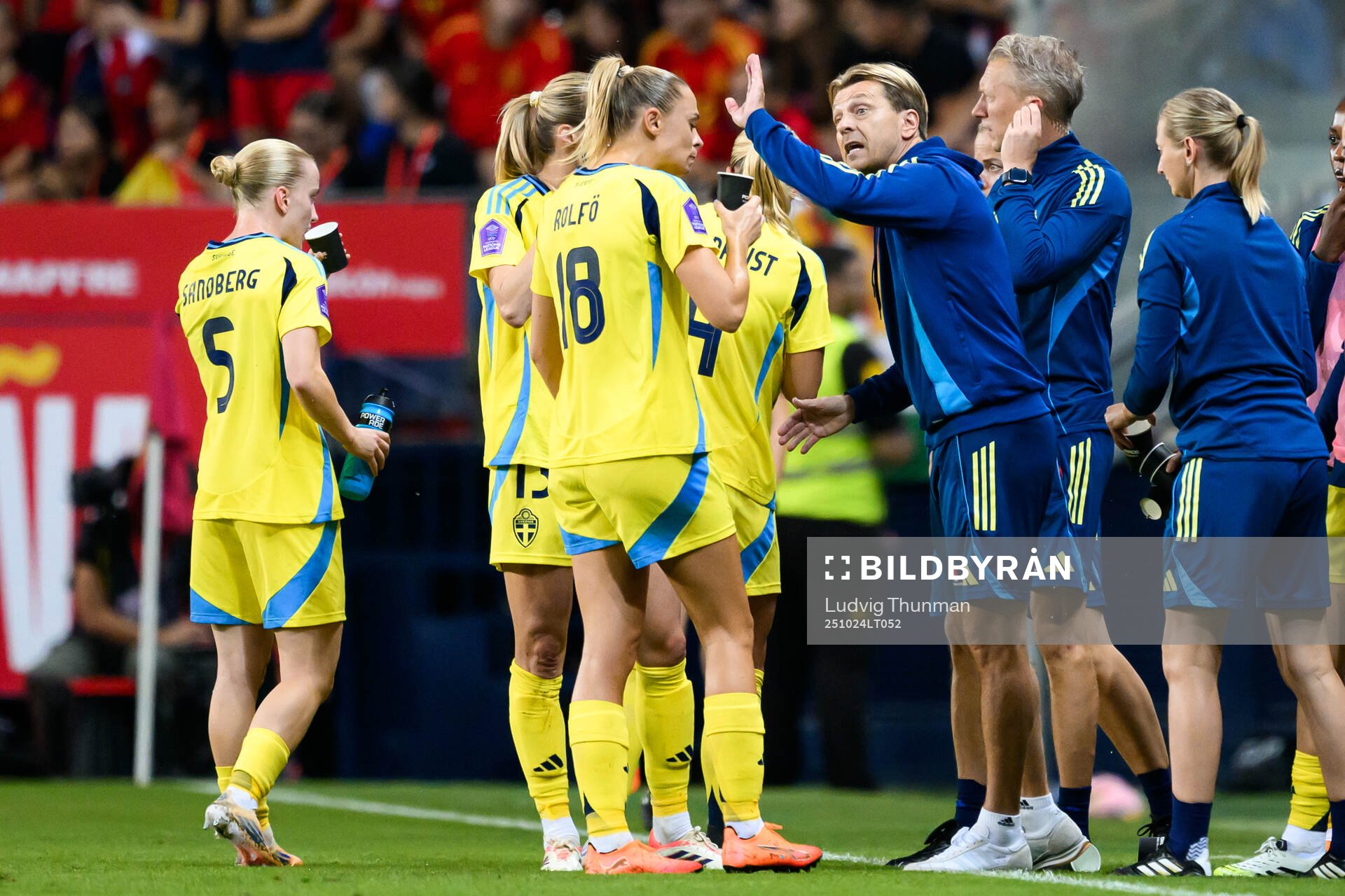 Head coach Tony Gustavsson of Sweden