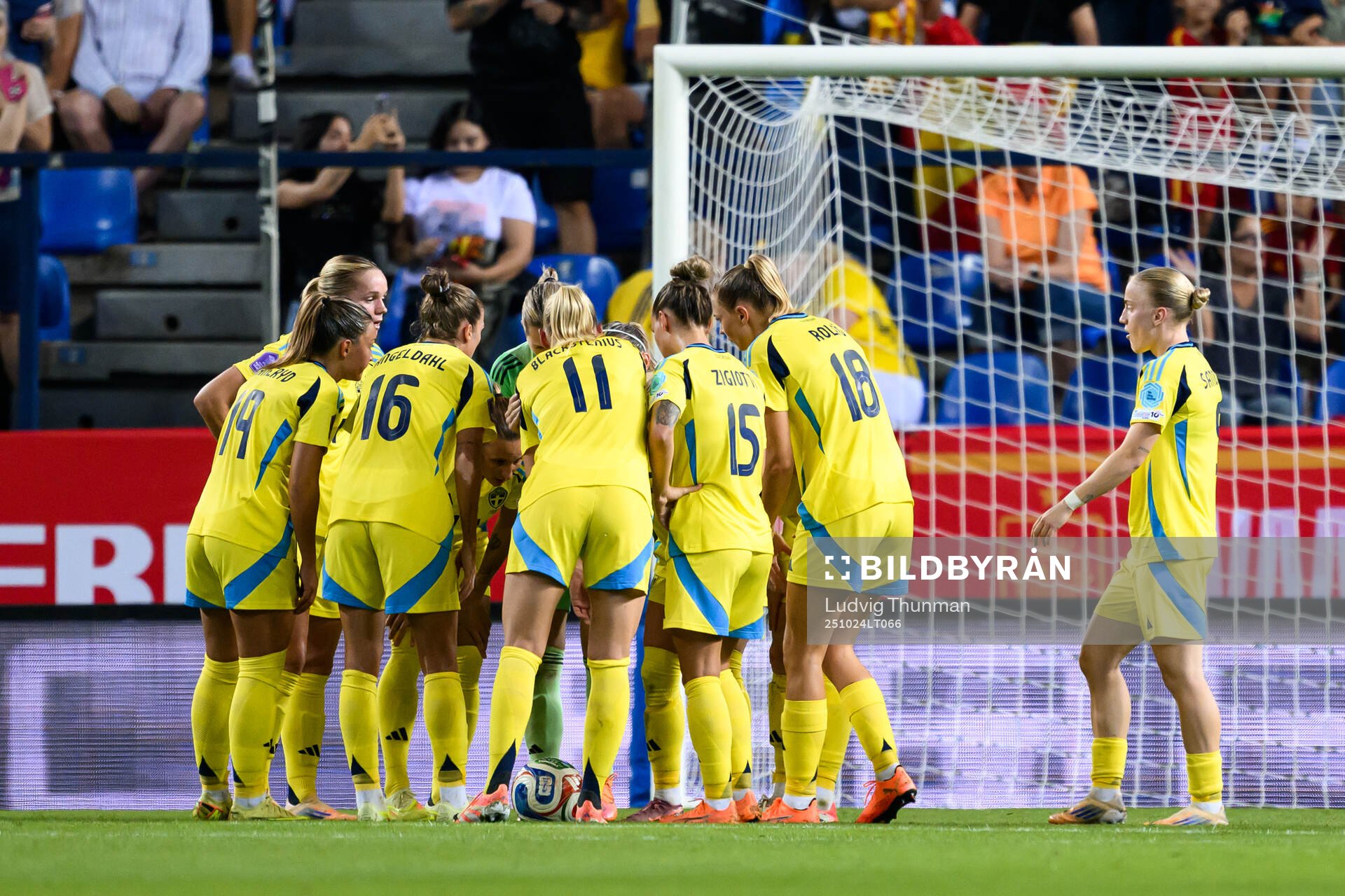 Players of Sweden