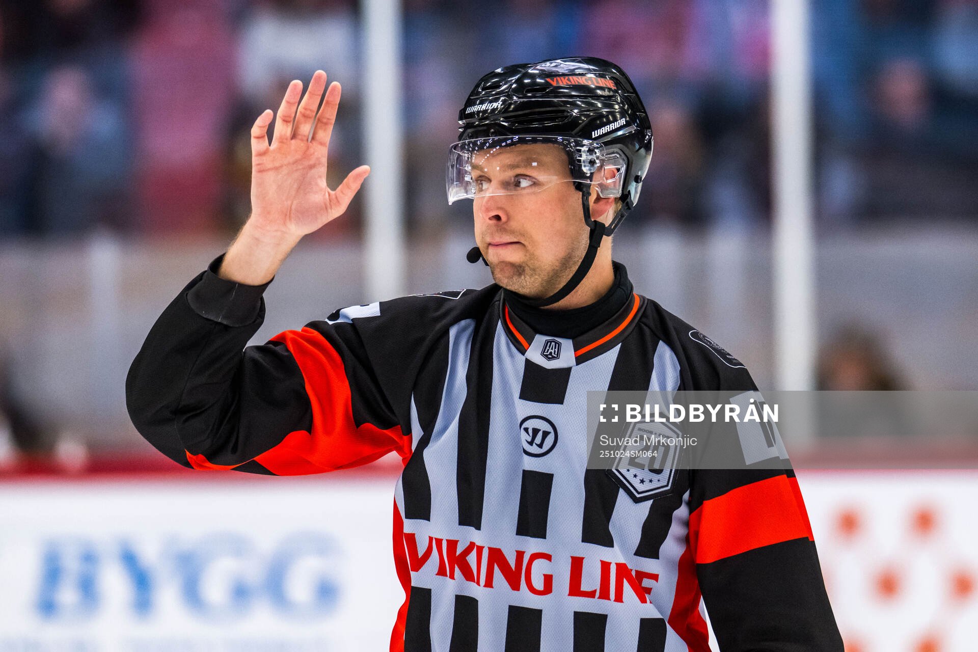Domare Robin Forslund