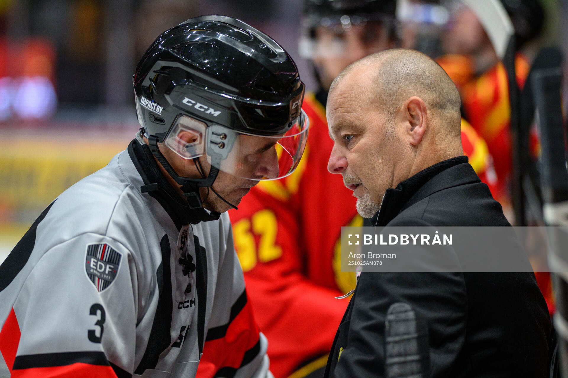 Domare Linus Öhlund i diskussion med Brynäs tränare