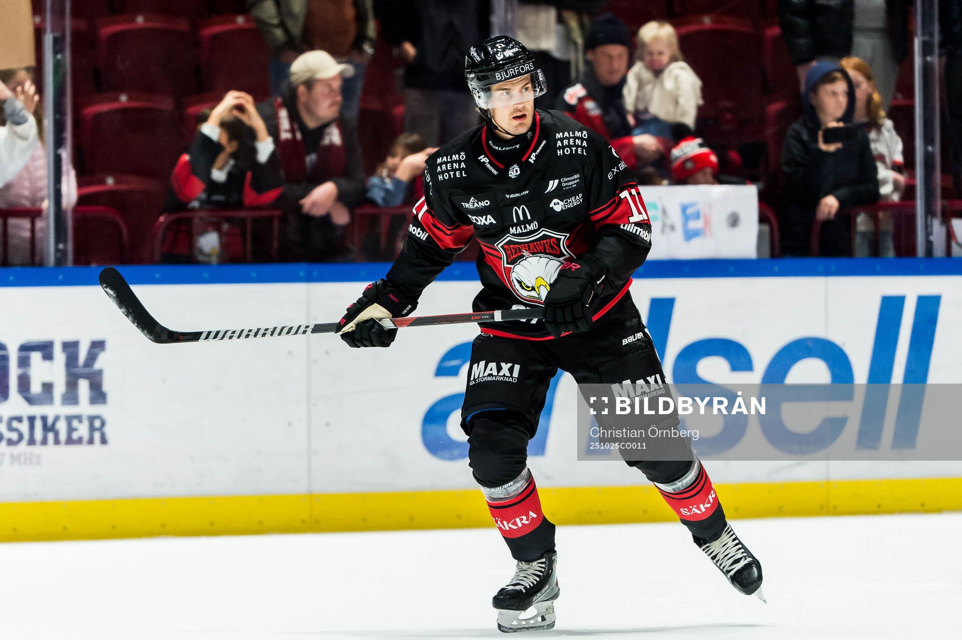 Malmö Redhawks Sebastian Wännström