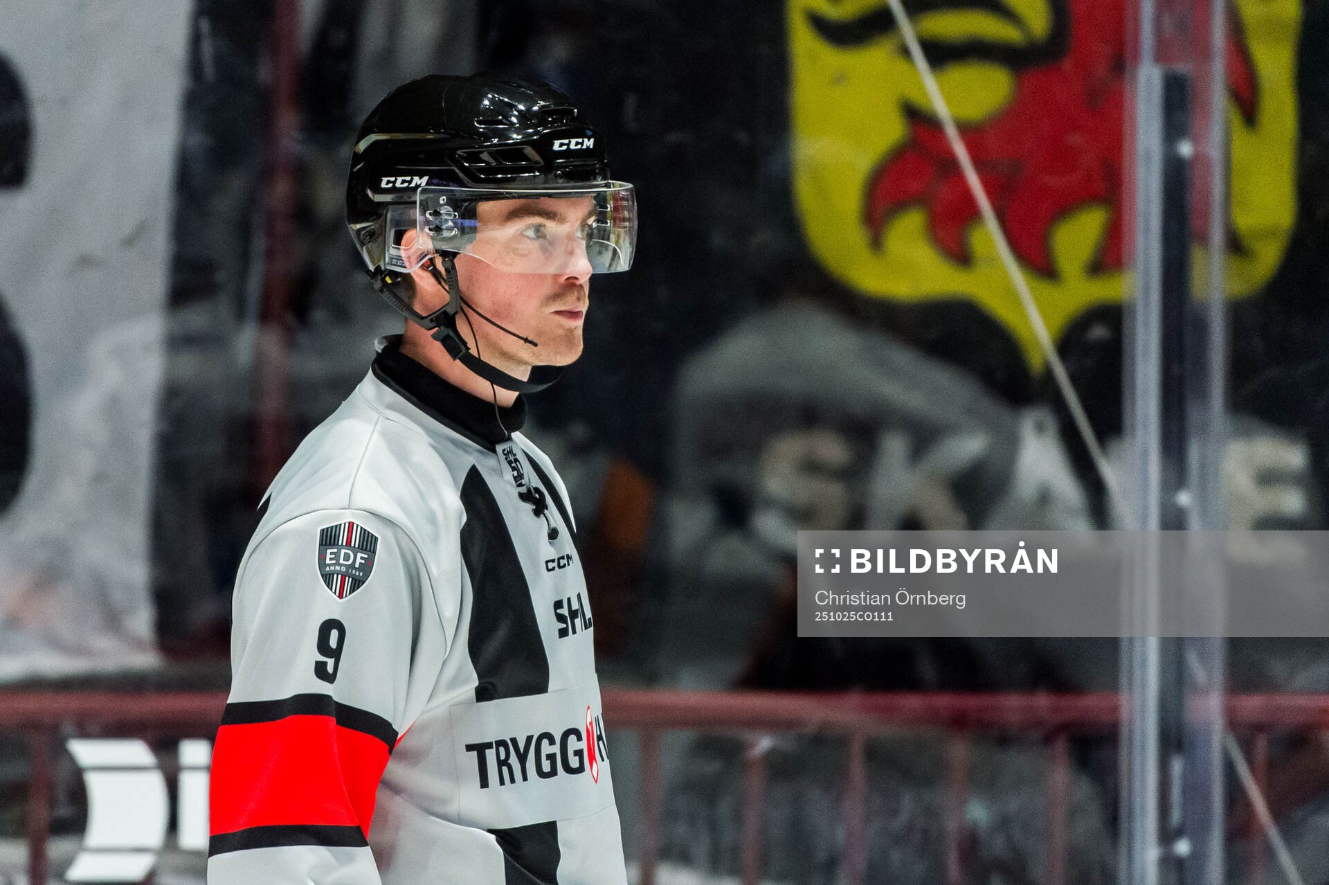 Domare Filip Eriksson