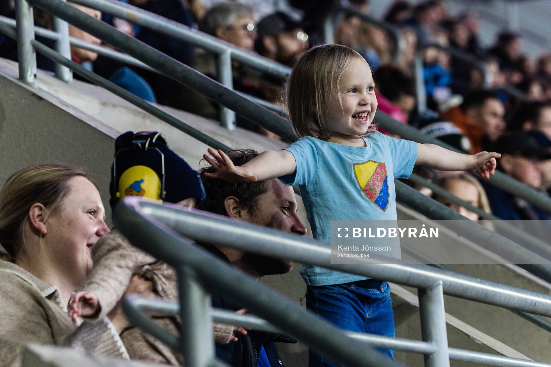 Djurgårdens supportrar