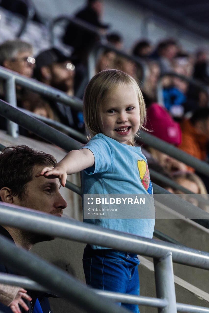Djurgårdens supportrar