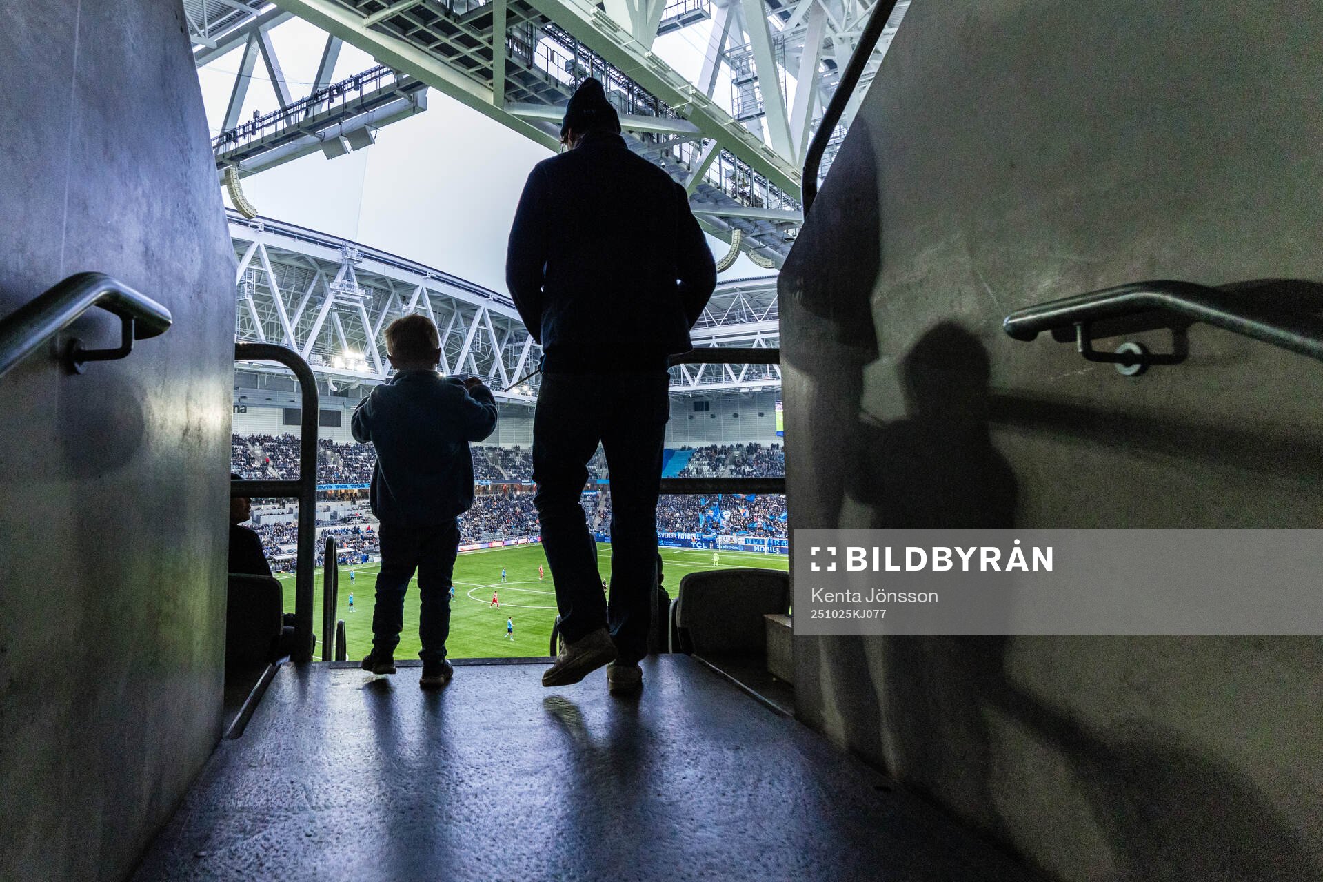 Djurgårdens supportrar
