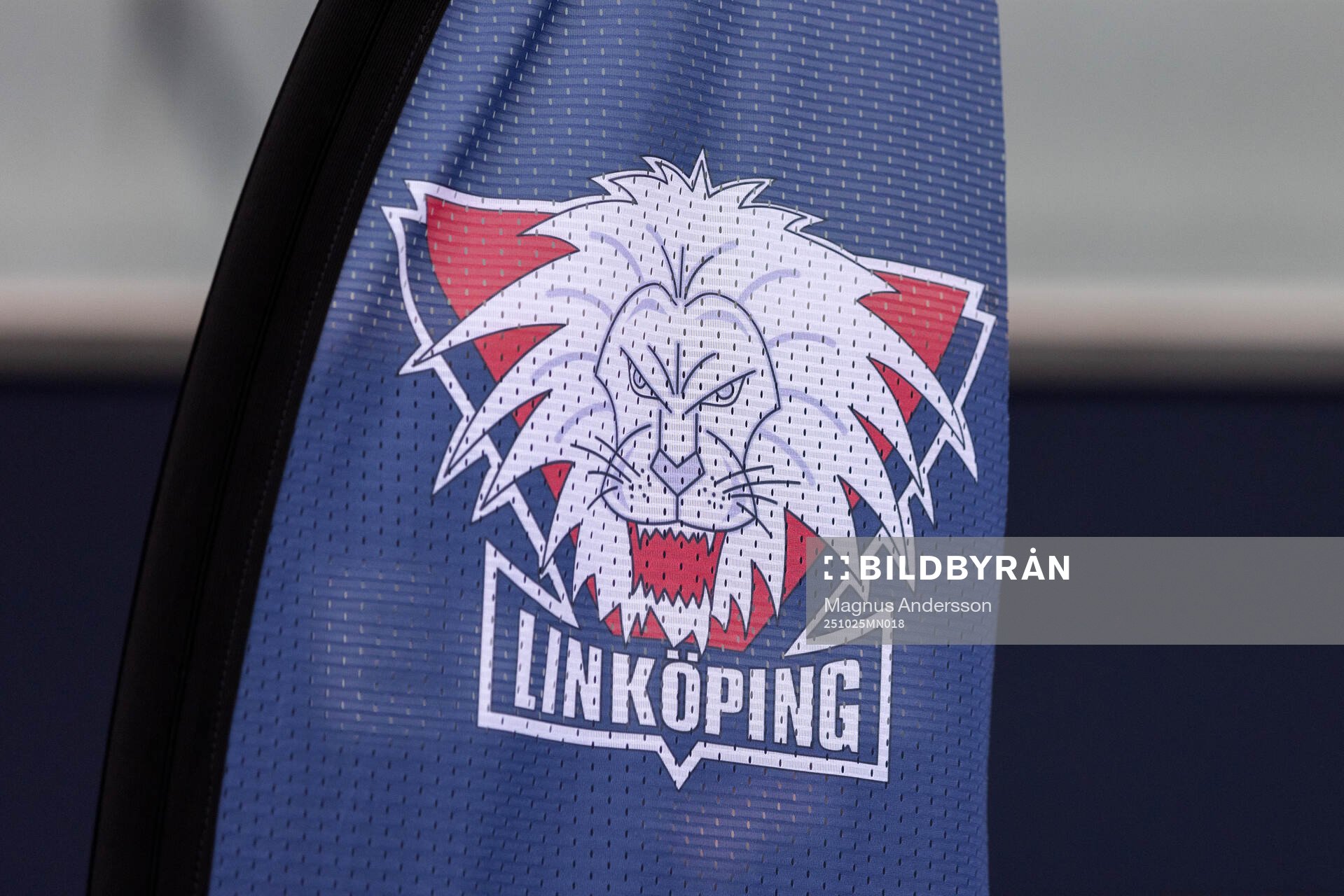Linköpings logga