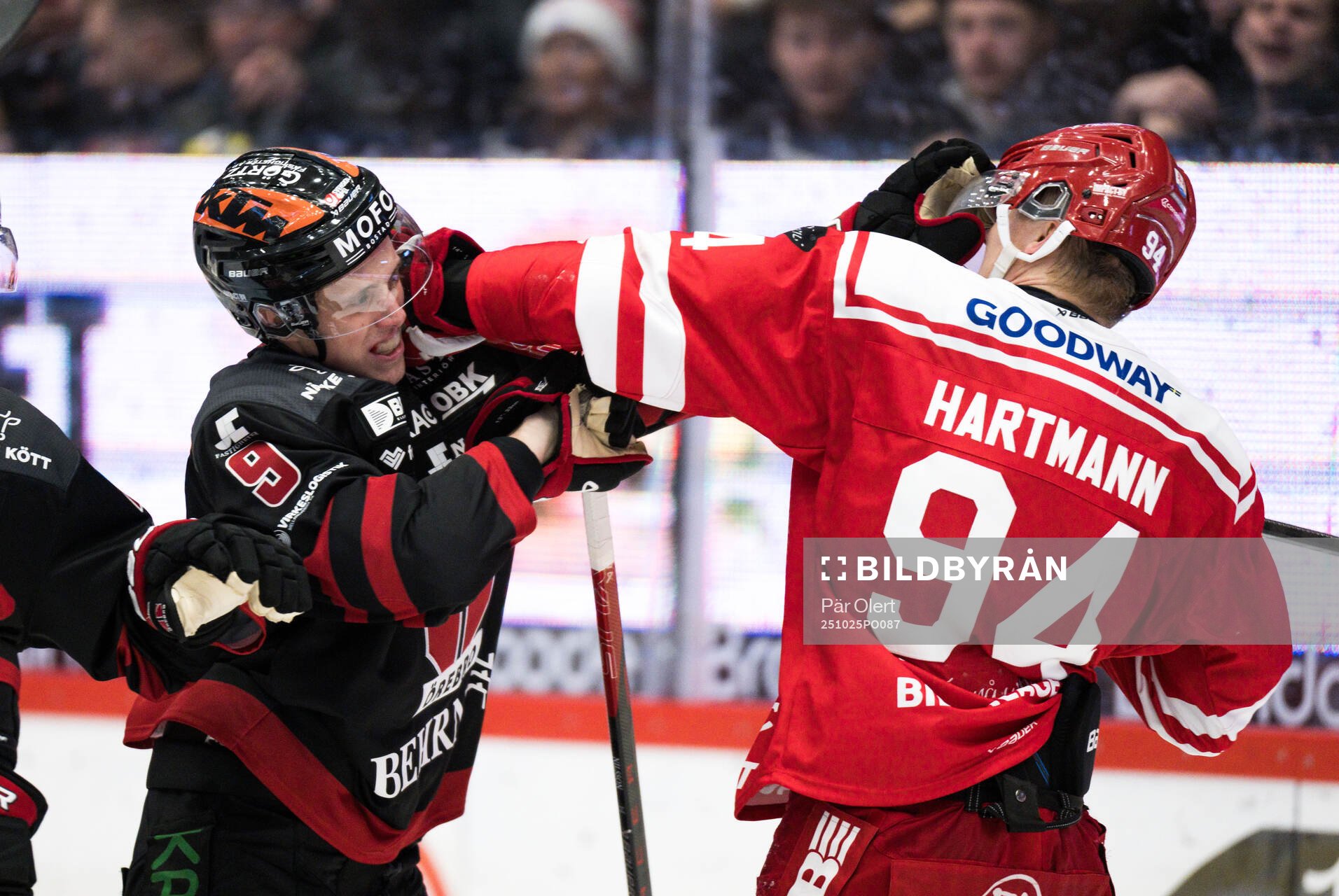 Timrås Sebastian Hartmann