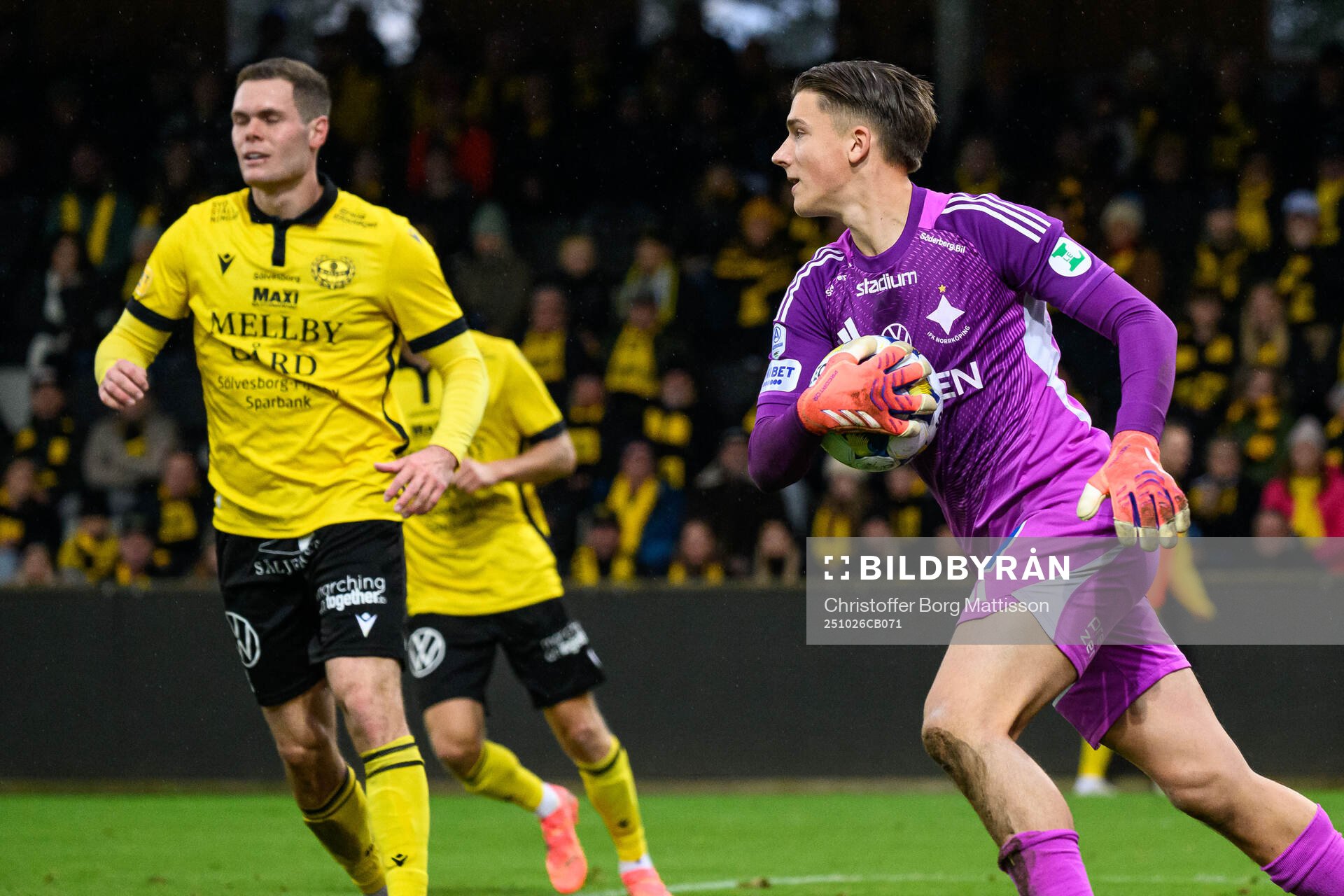IFK Norrköpings målvakt David Andersson