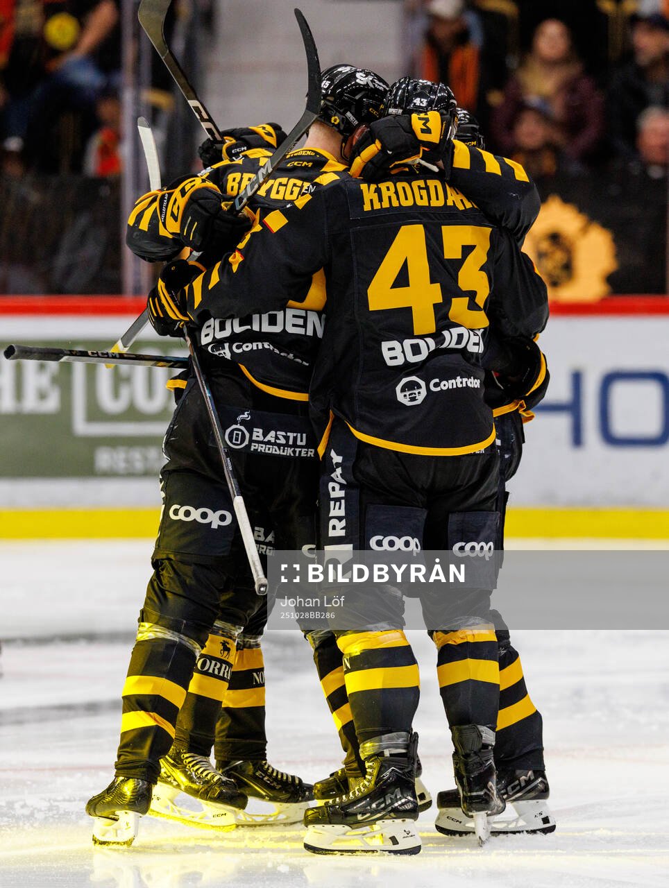 Skellefteås spelare jublar med Arvid Lundberg