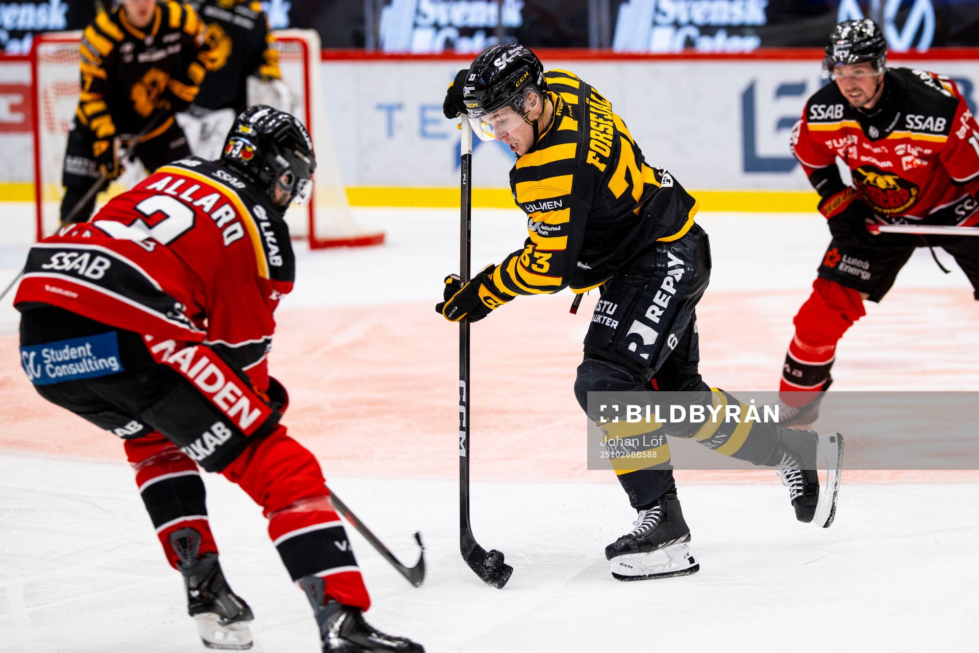 Skellefteås Zeb Forsfjäll