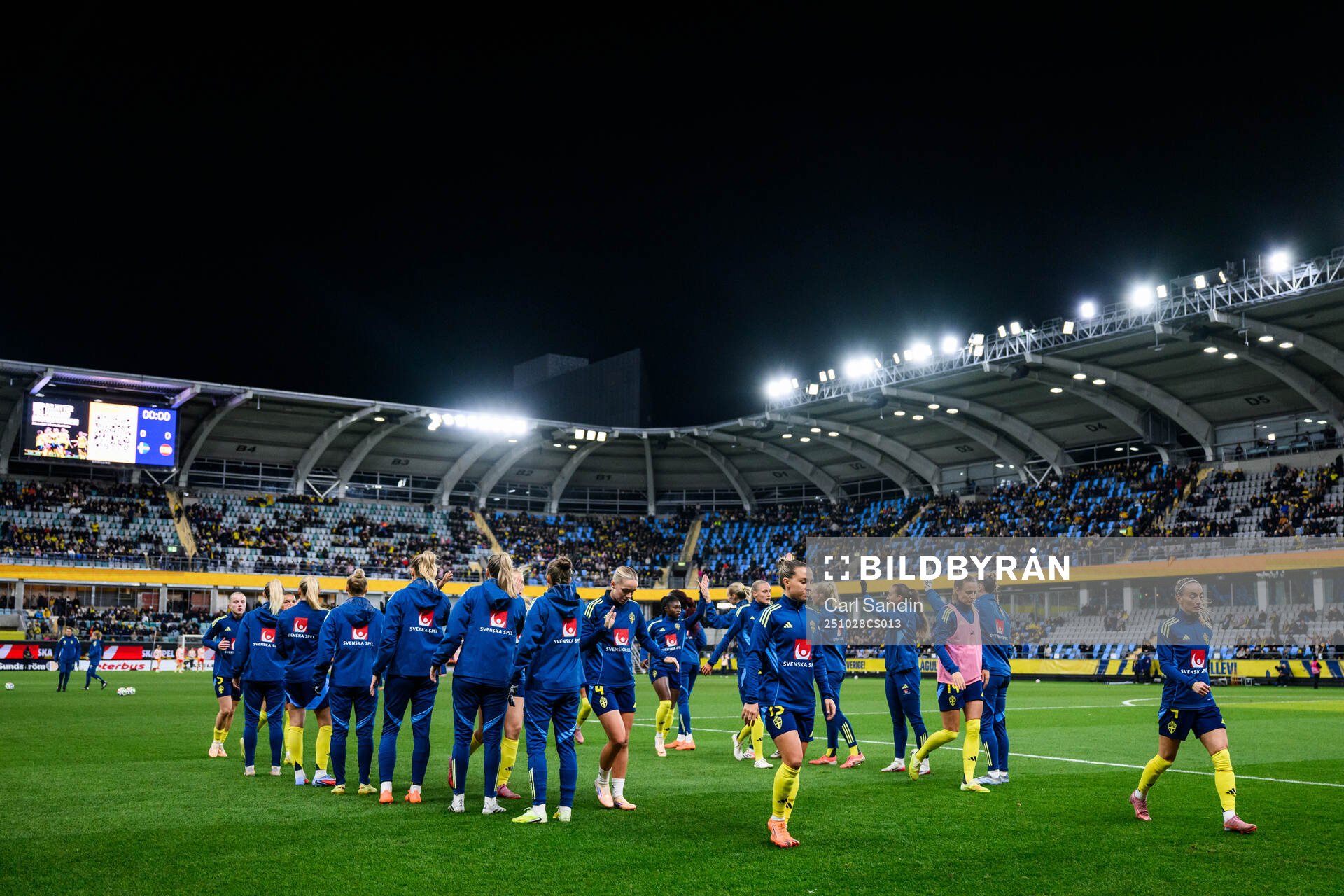 Players of Sweden