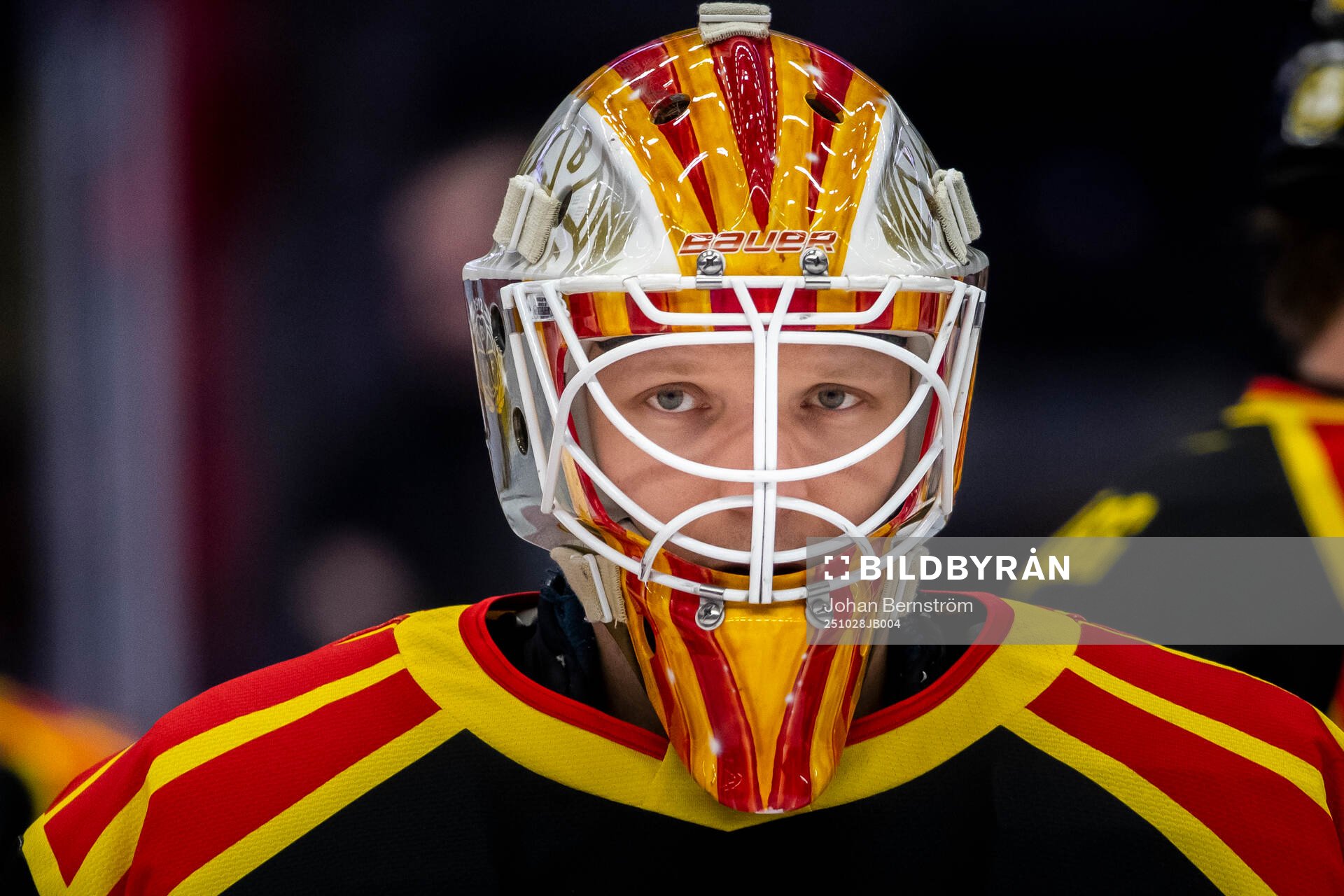 Brynäs målvakt målvakt Collin Delia