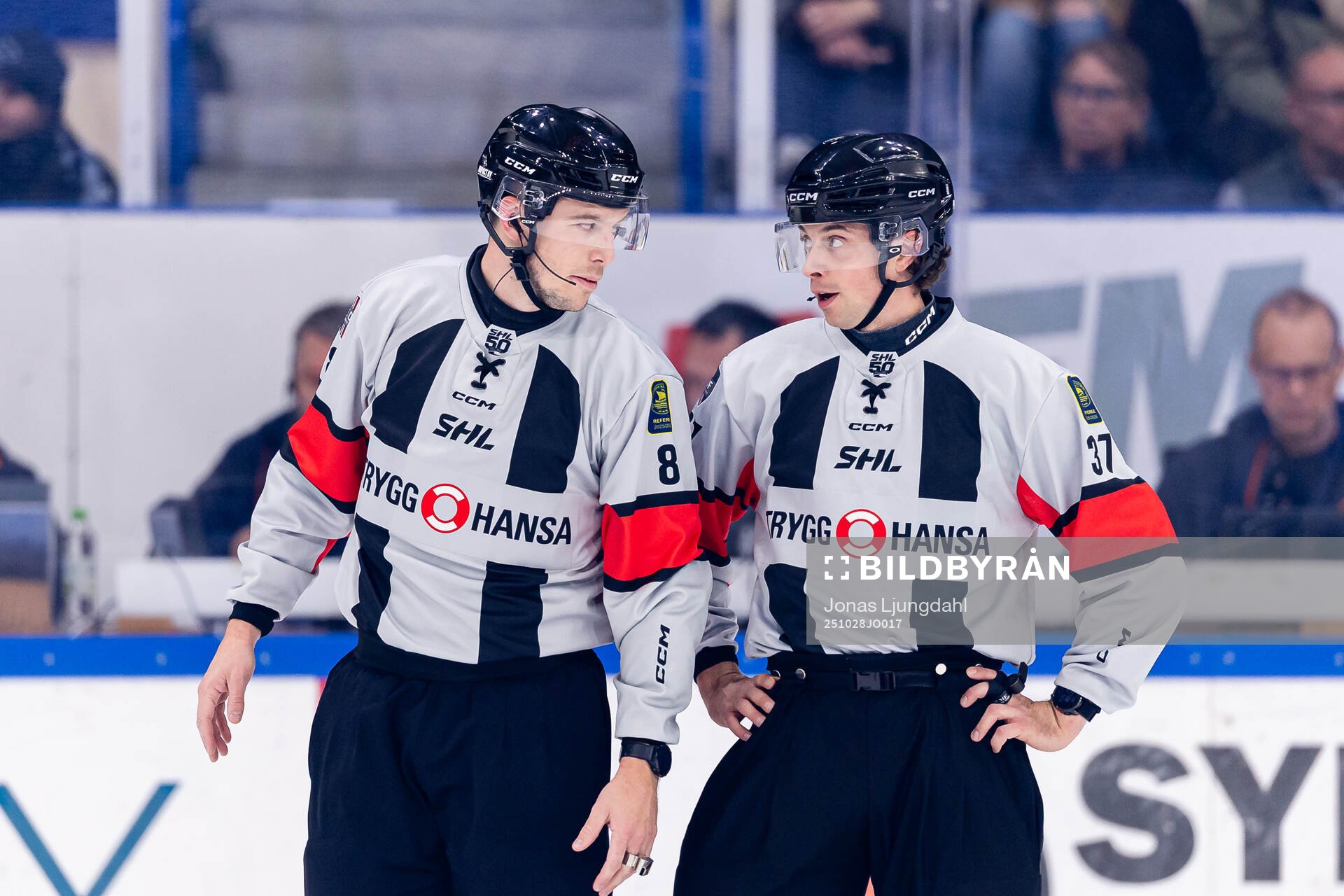 Domare Oscar Niklasson och domare Johan Wedin