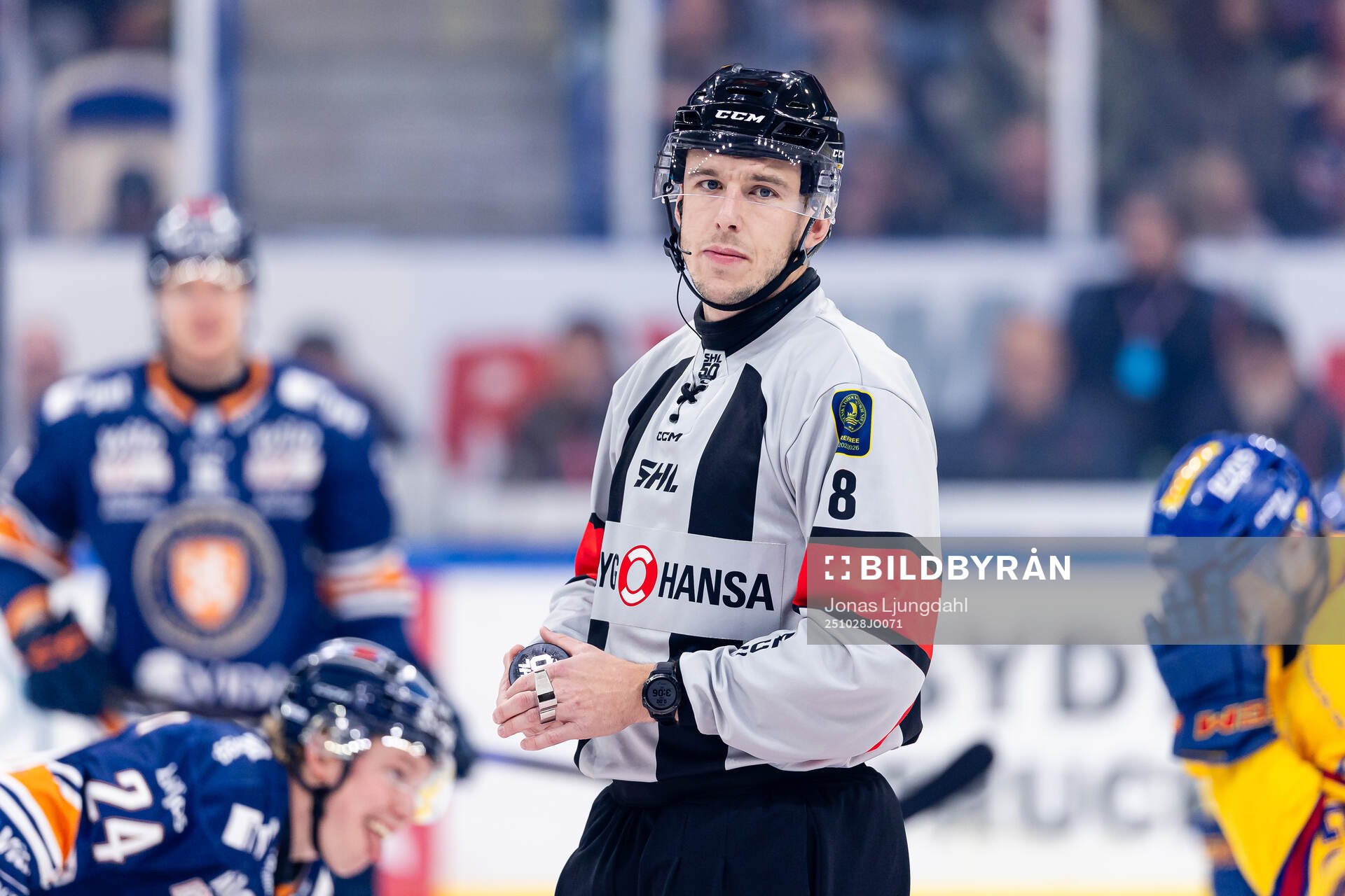Domare Oscar Niklasson