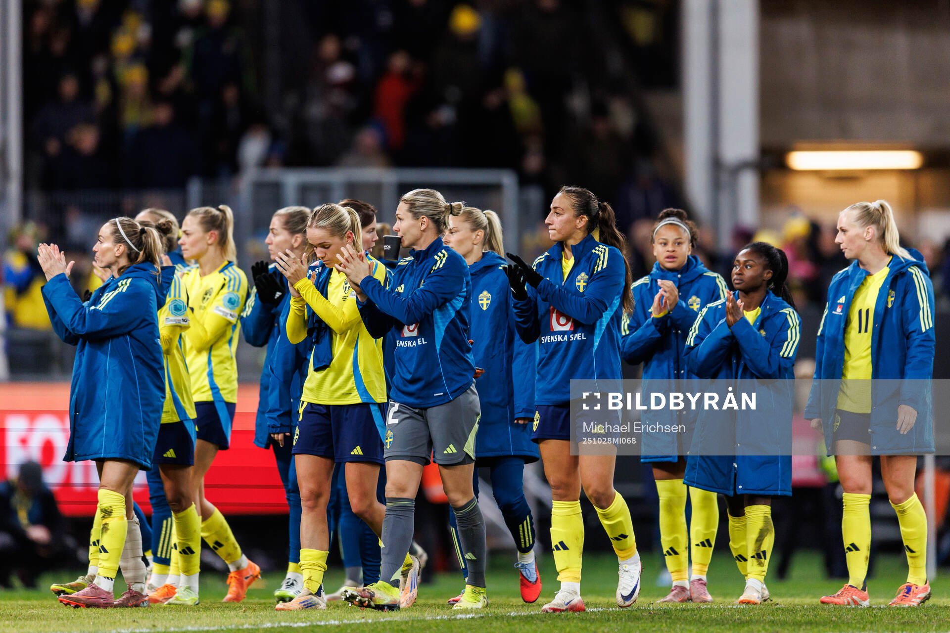 Players of Sweden