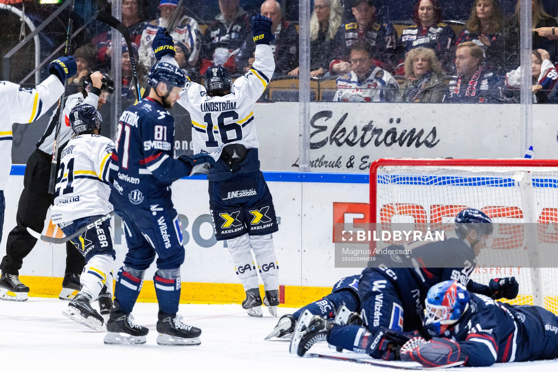 HV71s Linus Lindström jublar