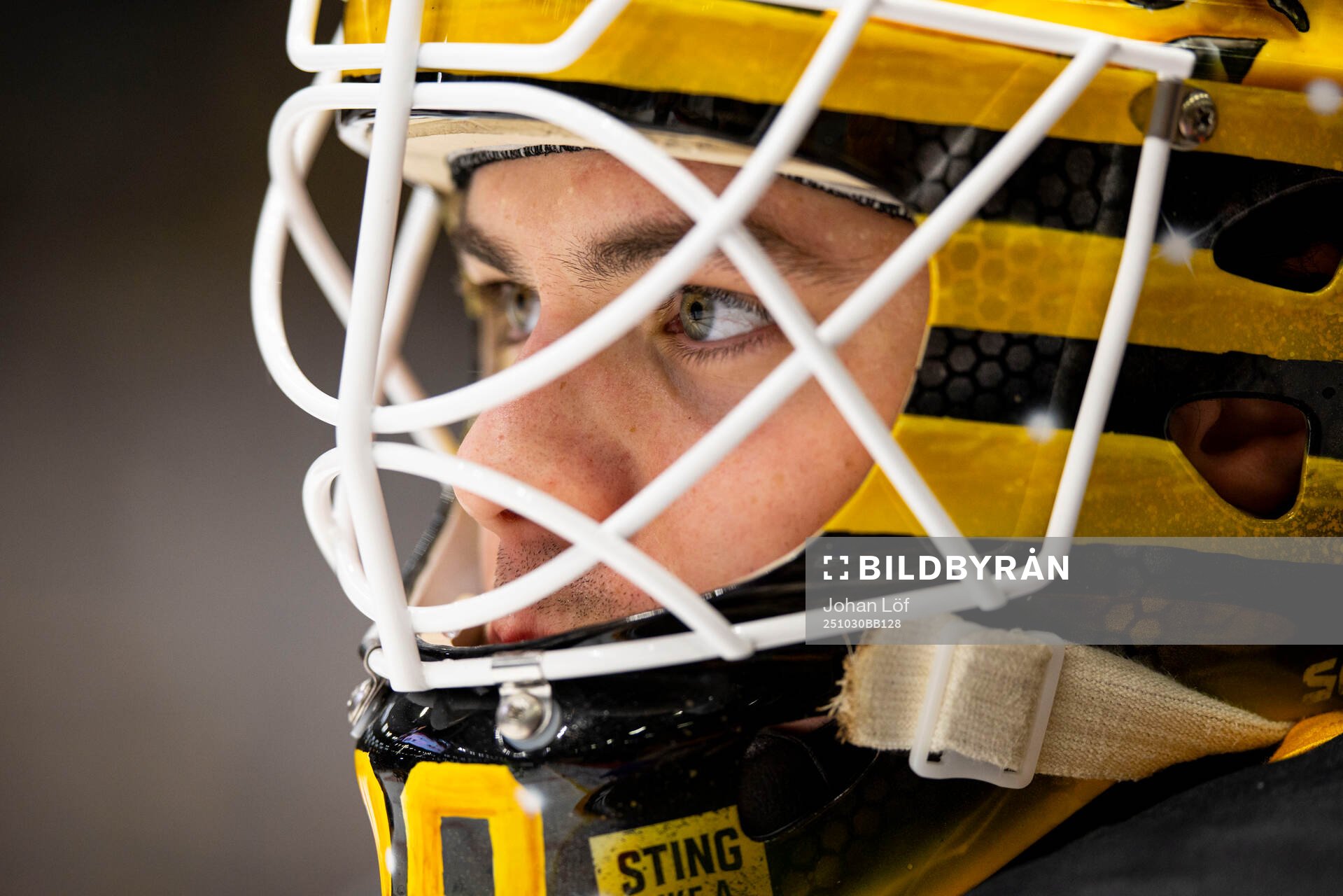 Skellefteås målvakt Strauss Mann innan ishockeymatchen i