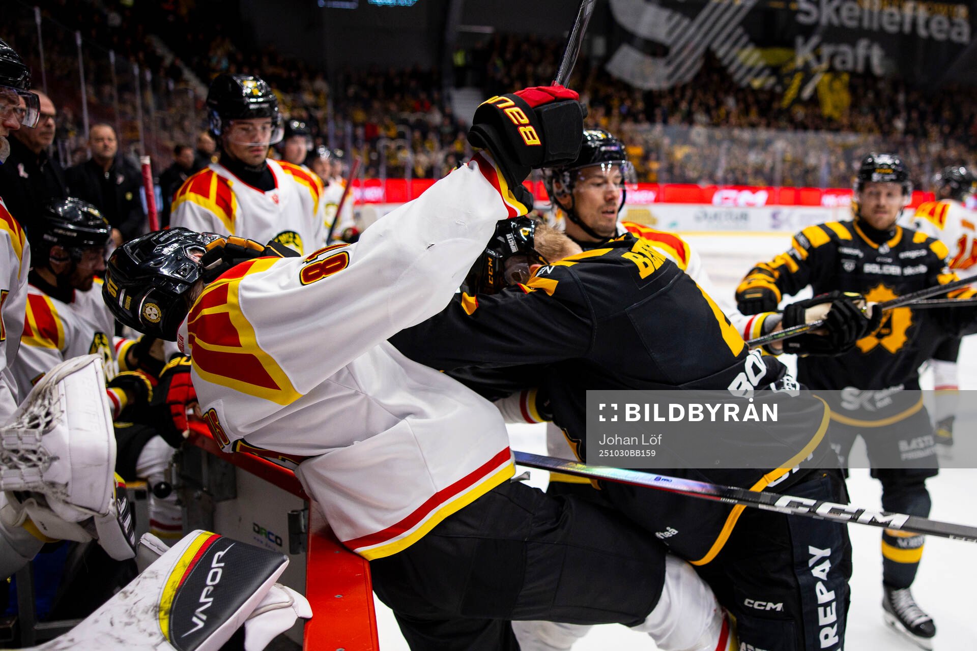Brynäs Kieffer Bellows och Skellefteås Rasmus Bergqvist