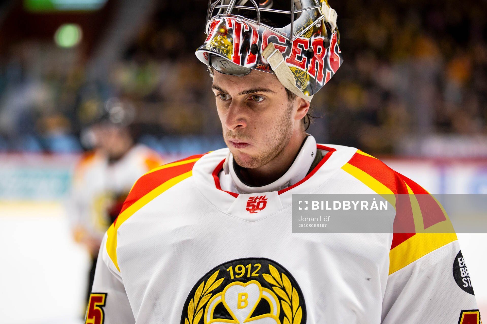 Brynäs målvakt Damian Clara
