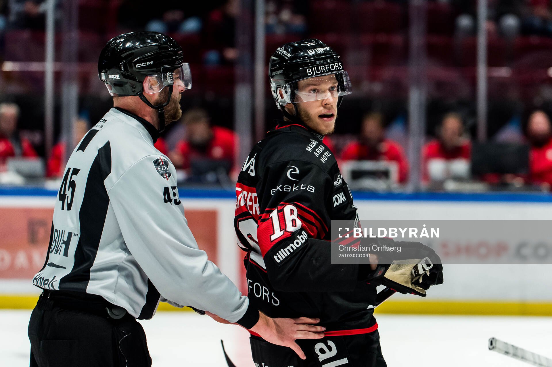 Linjedomare Andréas Svensson och Malmö Redhawks