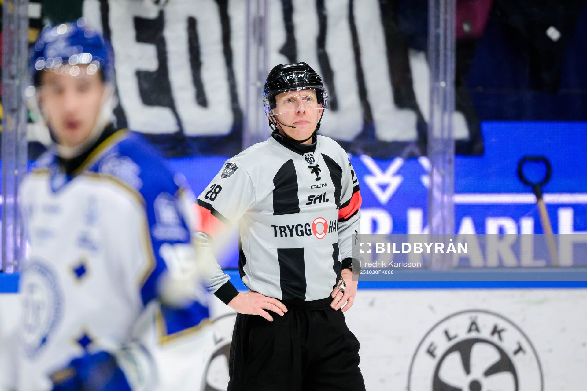 domare Mikael Holm