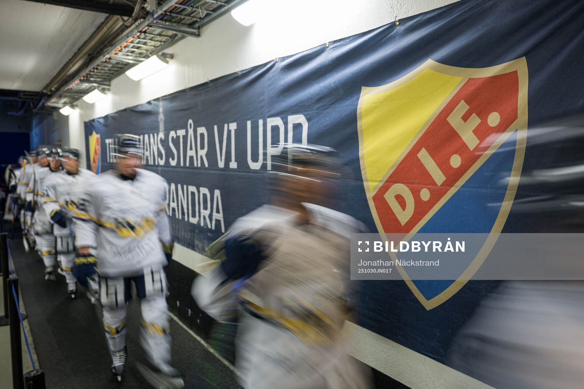HV71s spelare