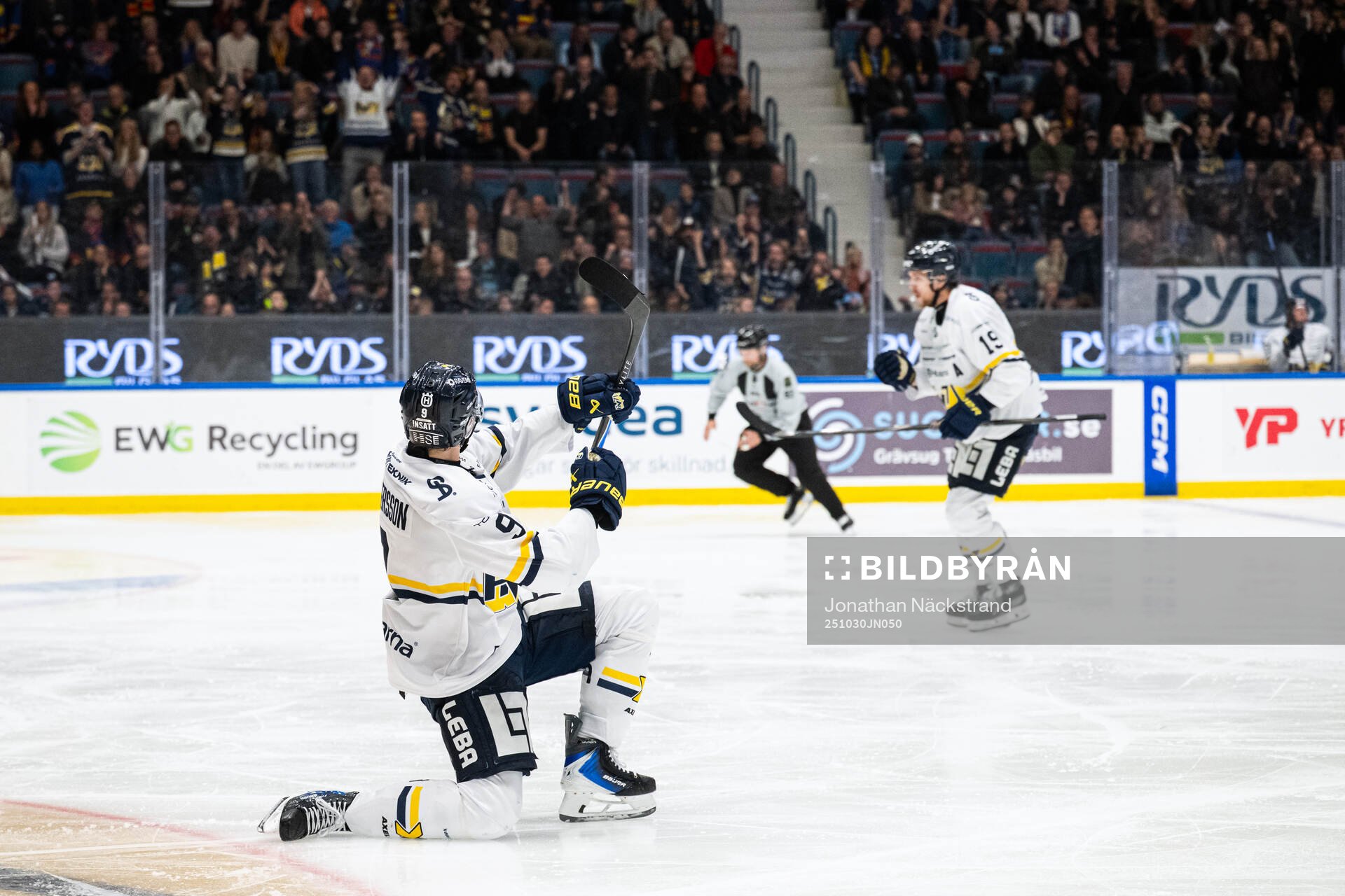HV71s Hugo Pettersson jublar med lagkamrater
