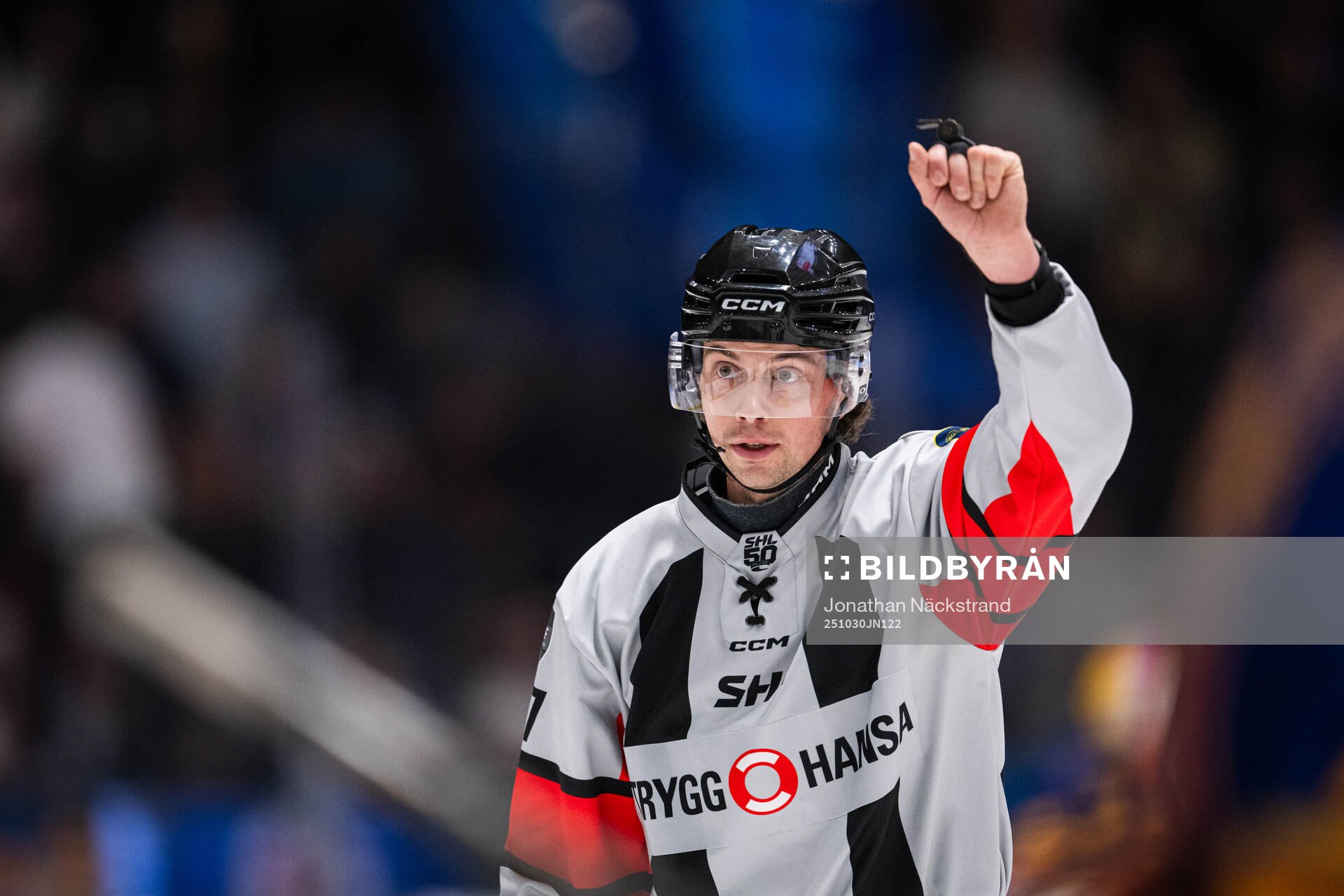 Domare Johan Wedin