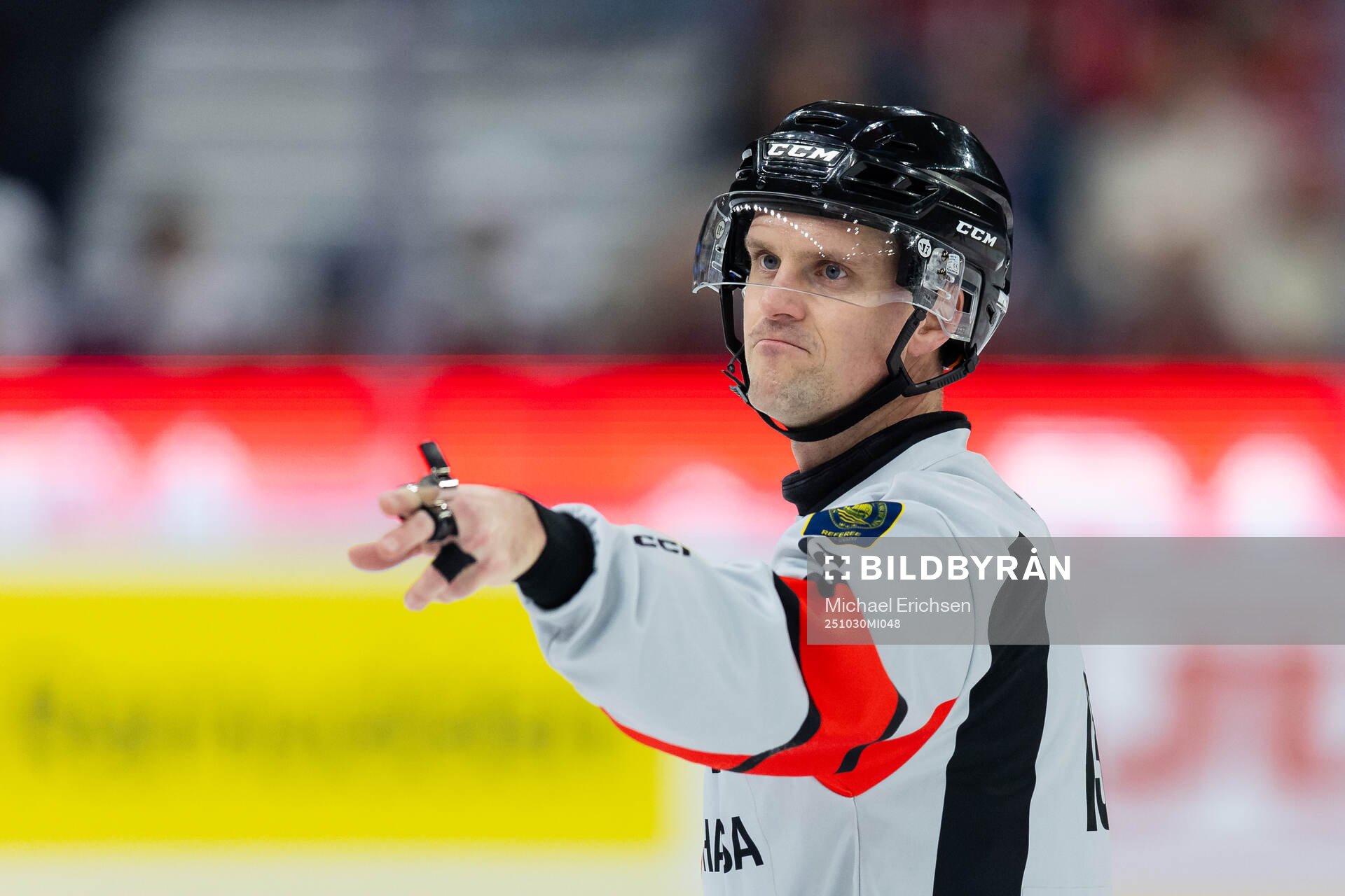 Domare Stefan Leijonklo