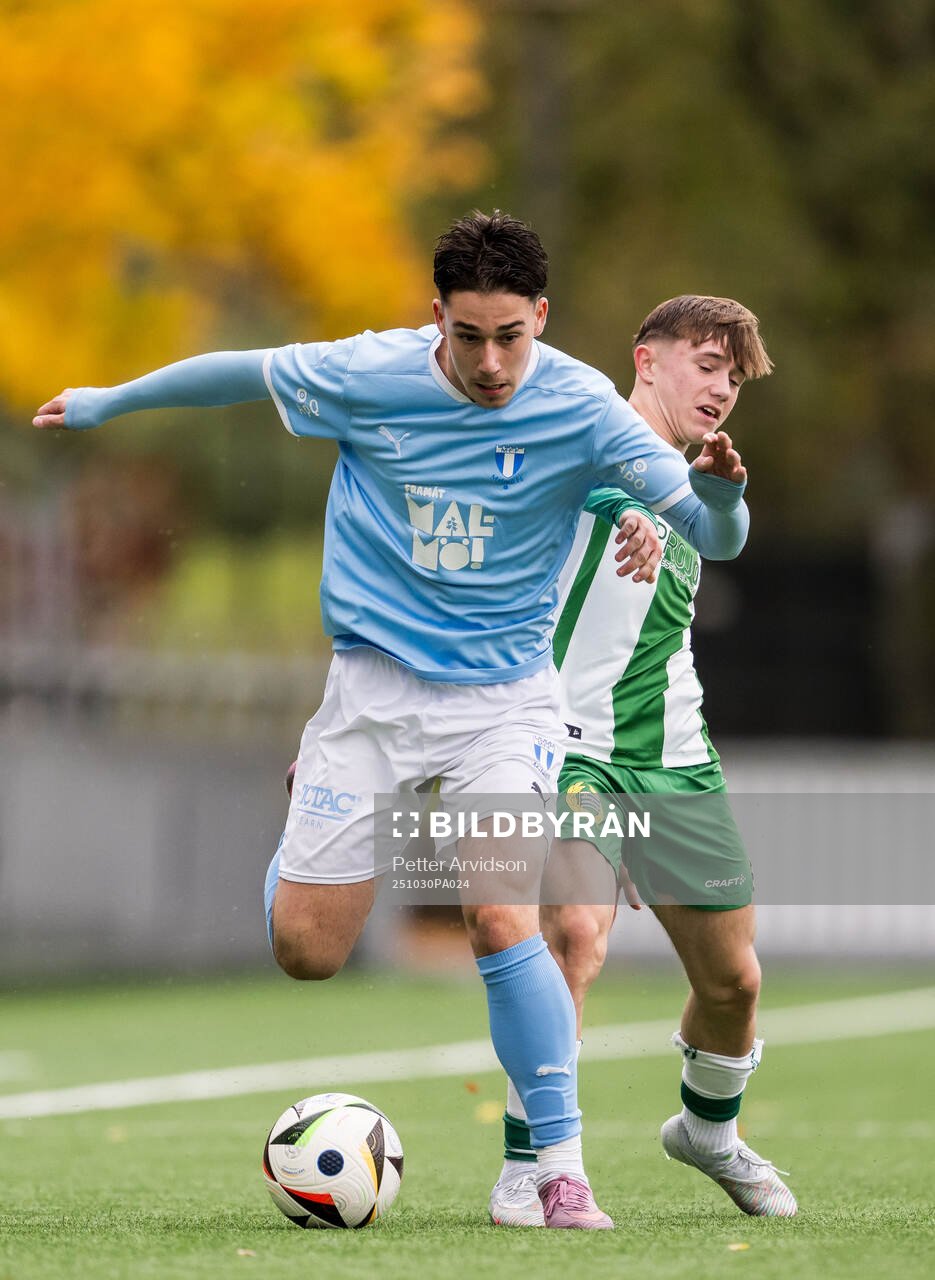 Malmö FFs Daniel Dragicevic