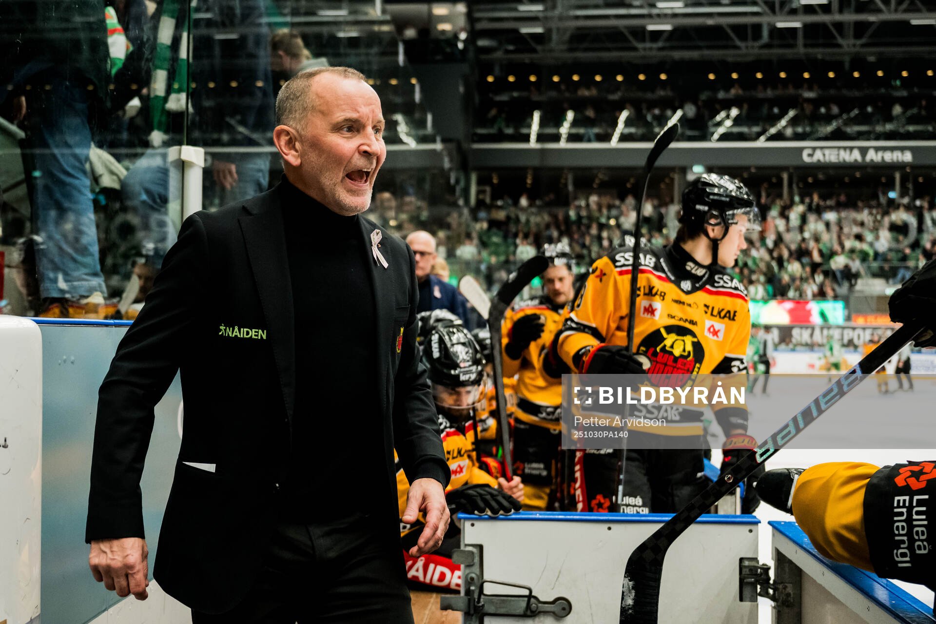 Luleås tränare Thomas Berglund